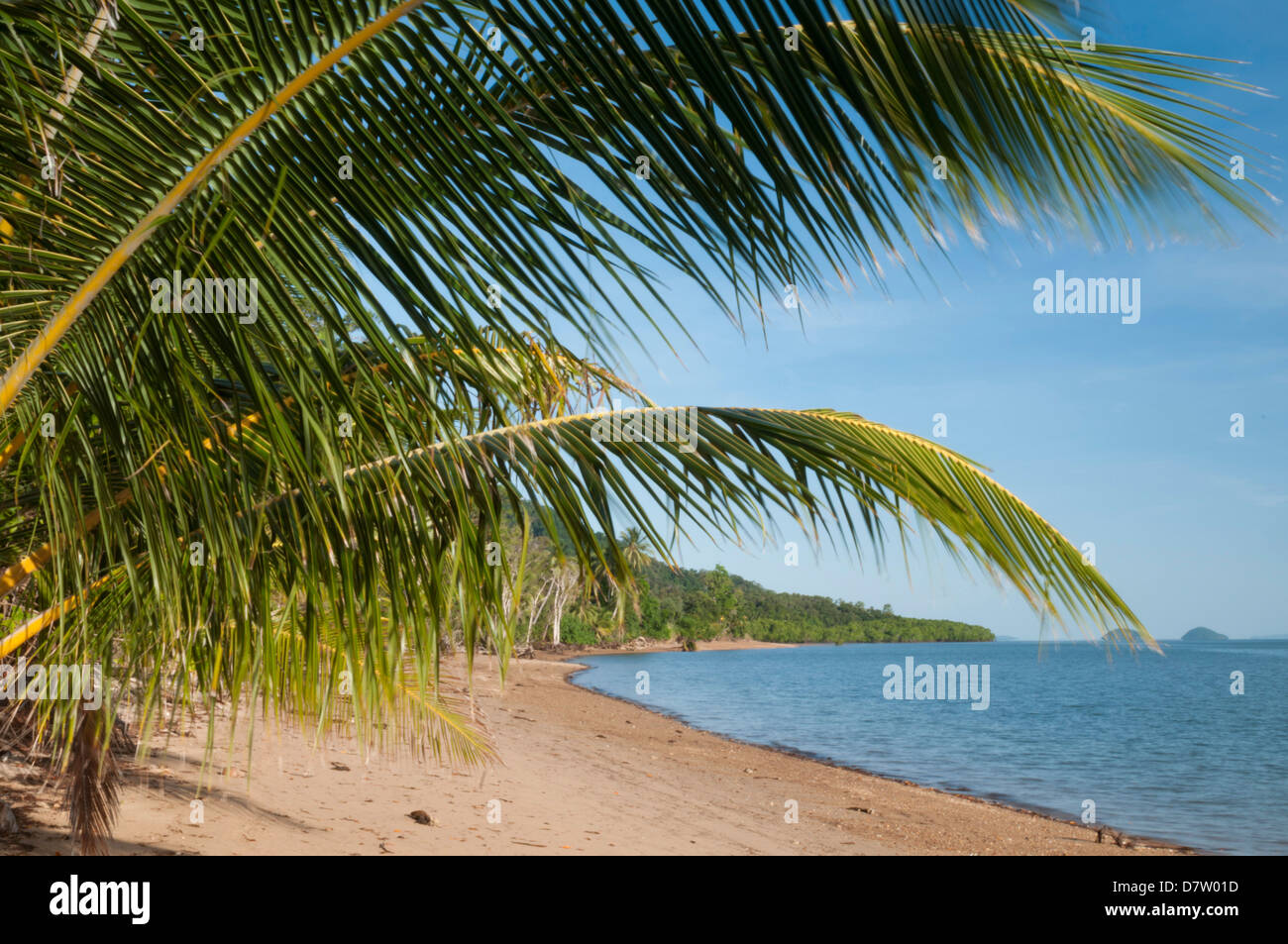 Dunk Island Beach mit Inseln vor der Küste, Palmblätter, Great Barrier Reef, UNESCO-Weltkulturerbe, Queensland, Australien Stockfoto