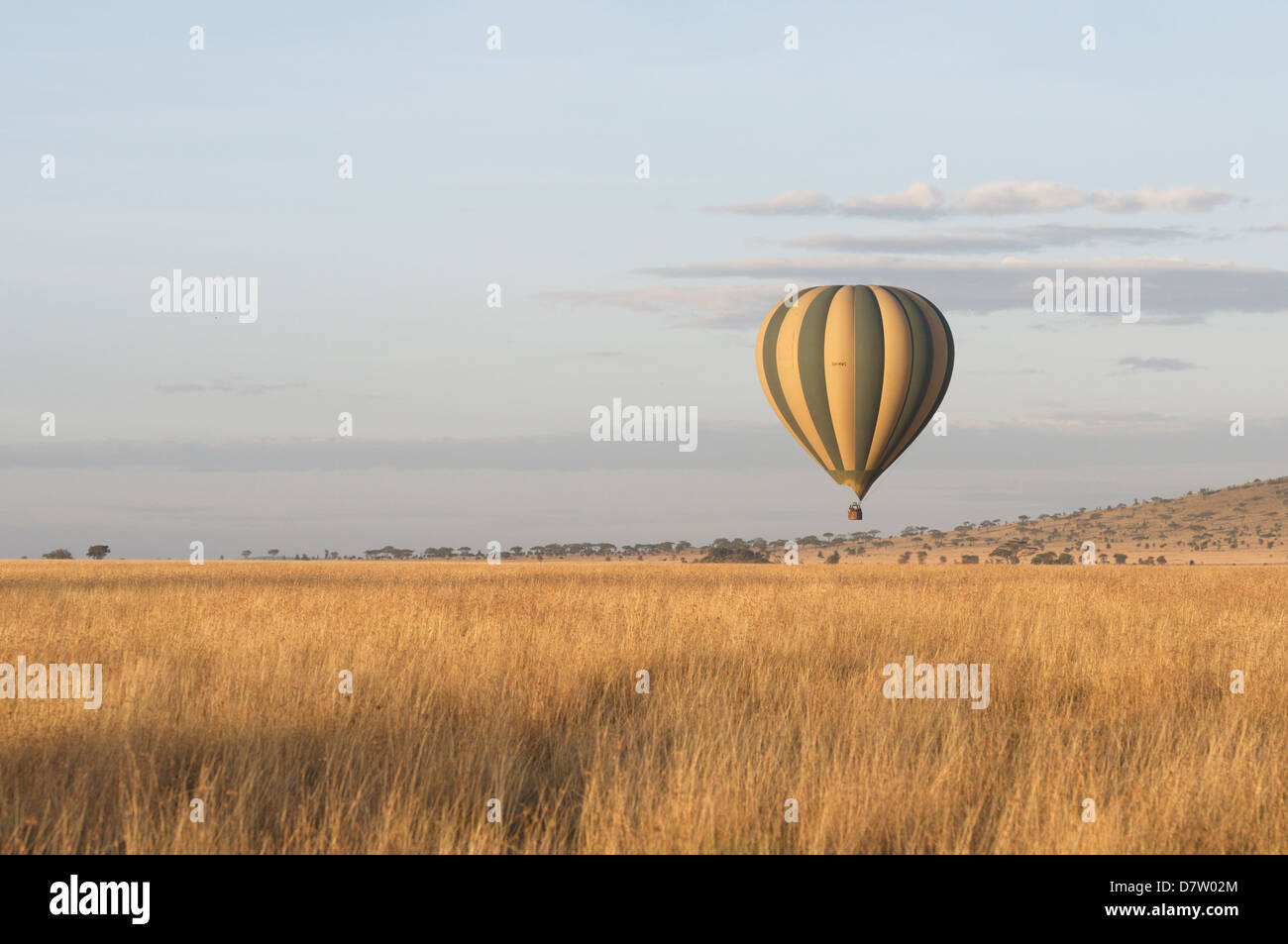 Fahrt mit dem Heißluftballon auf eine afrikanische Savanne. Stockfoto Fahrt mit dem Heißluftballon auf eine afrikanische Savanne. Stockfoto