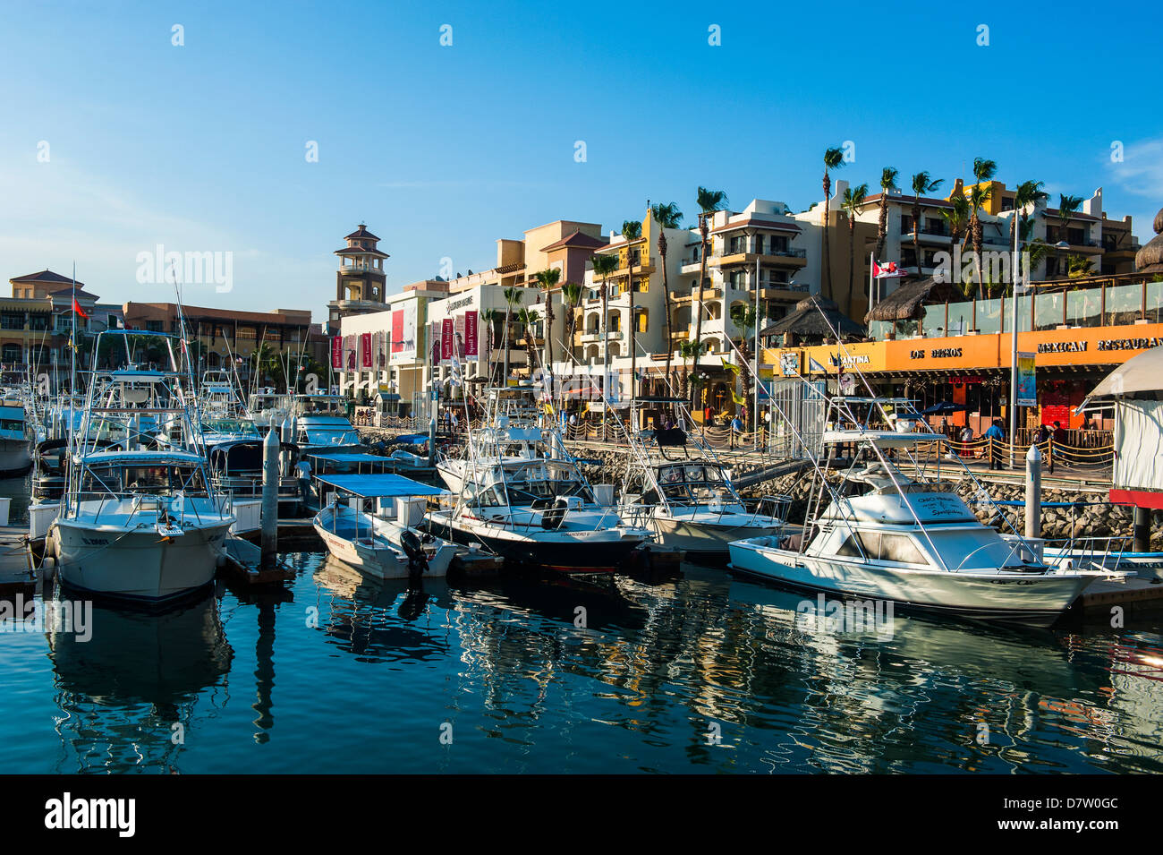 Der Hafen von Los Cabos, Baja California, Mexiko Stockfoto