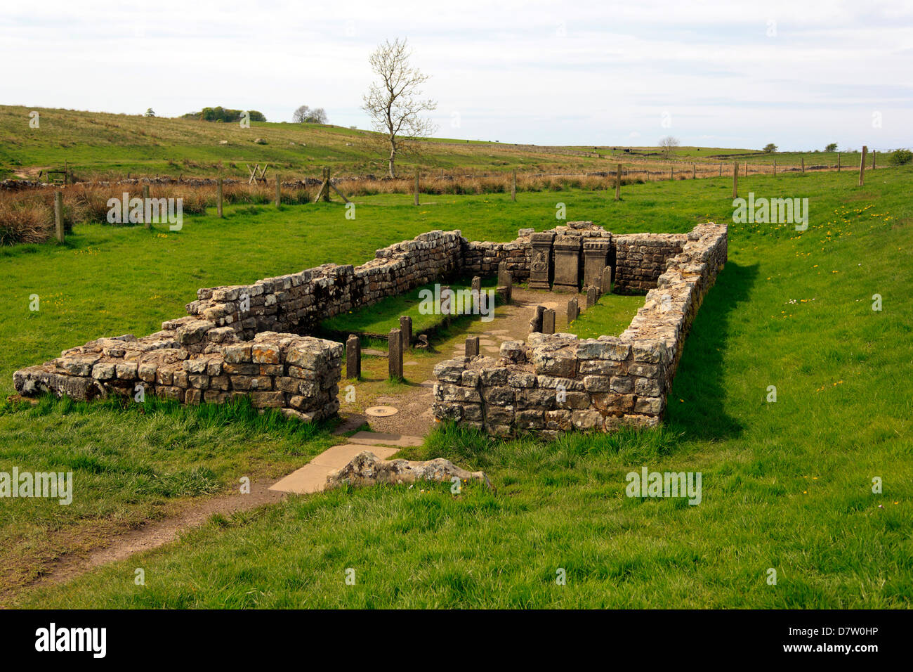 Tempel des Mithras am Carrawburgh in der Nähe der Hadrianswall in Nordengland. Stockfoto