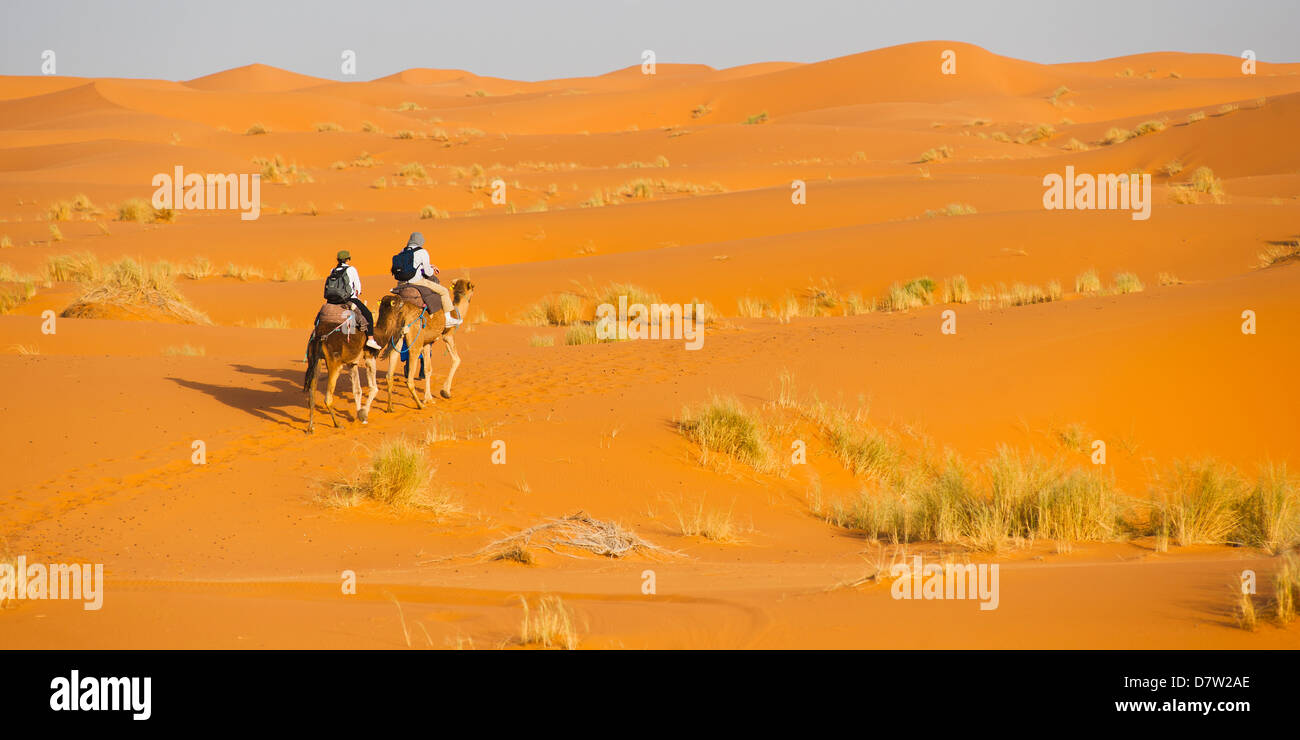 Touristischen paar auf einen Kamelritt in Erg Chebbi Wüste, Sahara Wüste in der Nähe von Merzouga, Marokko, Nordafrika Stockfoto