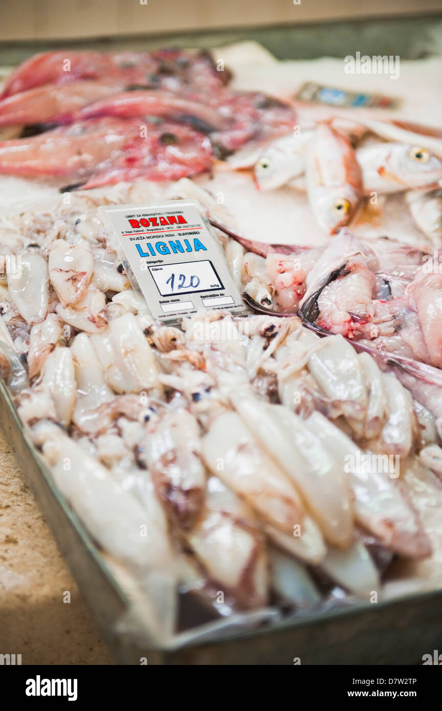 Frische Calamares (Tintenfisch) in Fischmarkt von Split, Split, Dalmatien, Kroatien Stockfoto