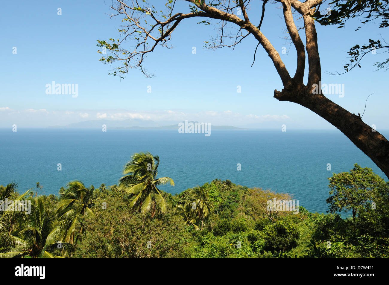 Üppig grüne Hügel und einsame Baum an der Pazifik-Küste. Sonniges Wetter auf der Insel Mindoro, Philippinen Stockfoto