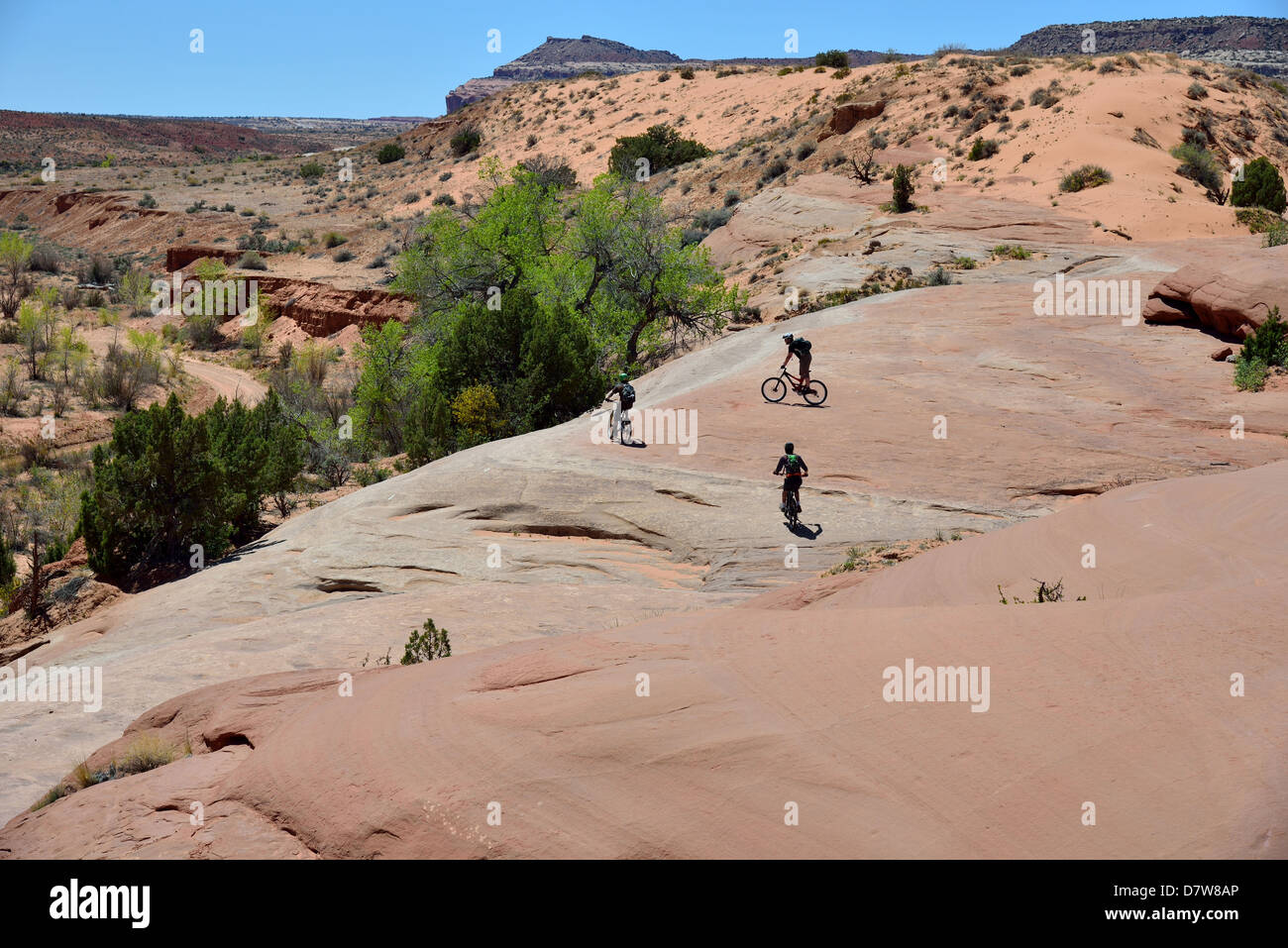 Mountainbiker auf rotem Sandstein. Moab, Utah, USA. Stockfoto