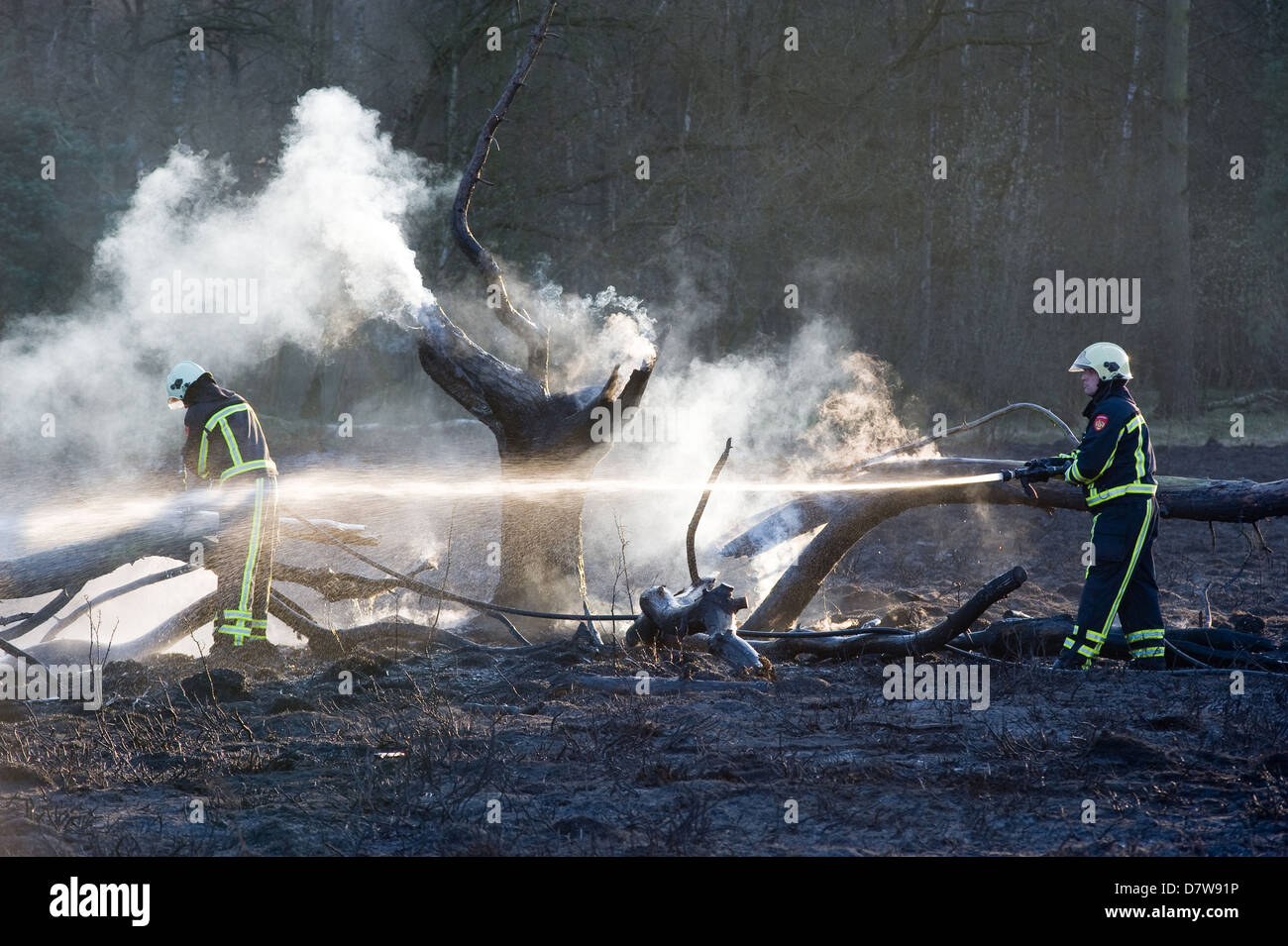 Zwei Feuerwehrleute versuchen, einen Waldbrand zu löschen Stockfoto