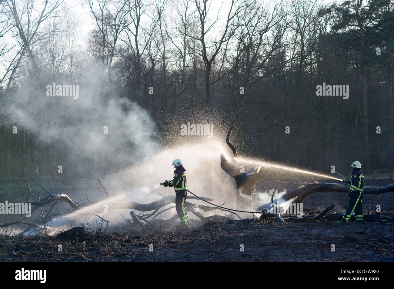 Zwei Feuerwehrleute versuchen, einen Waldbrand zu löschen Stockfoto