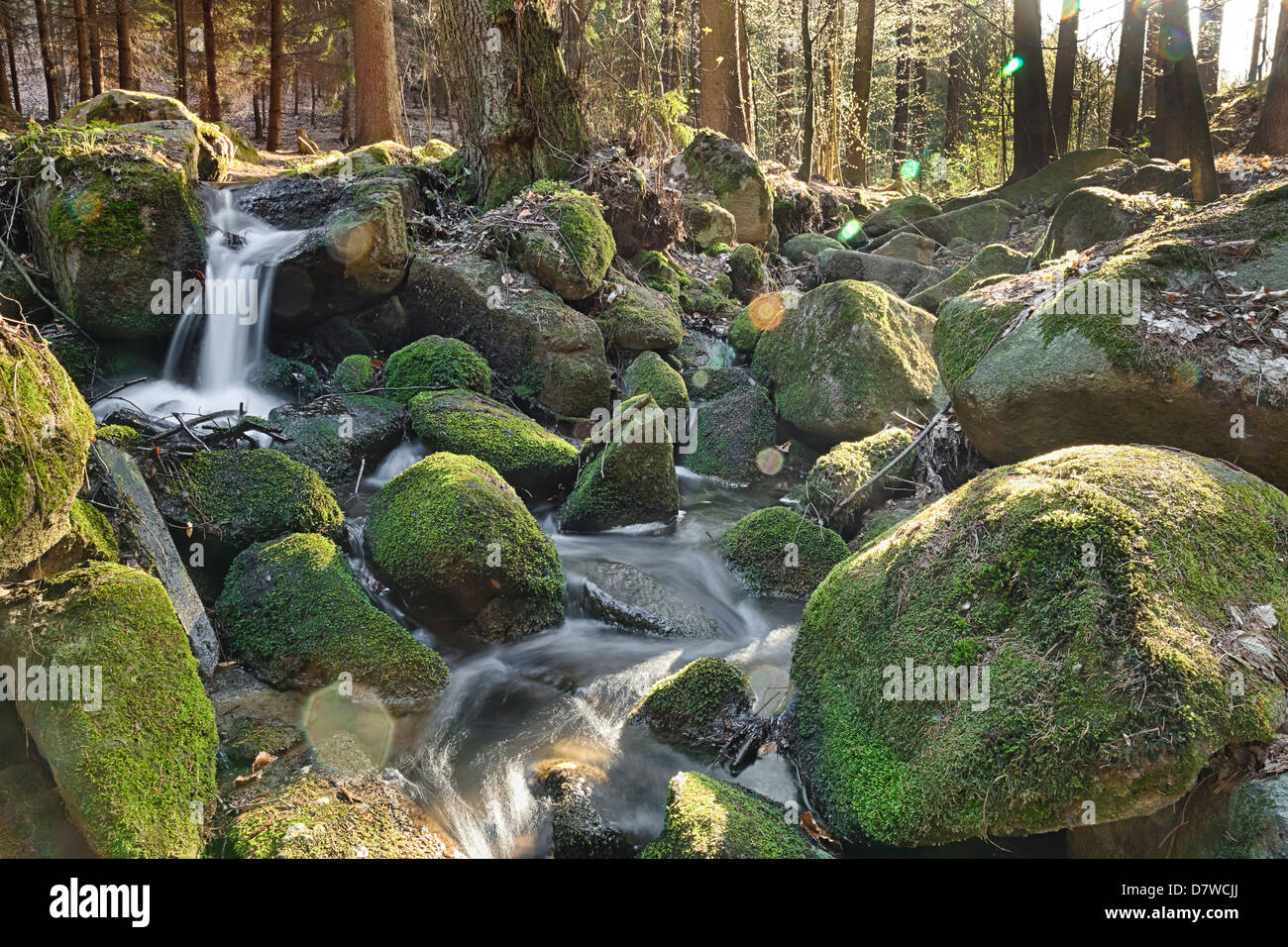 Der Fluss fließt über Felsblöcke im Urwald - HDR Stockfoto