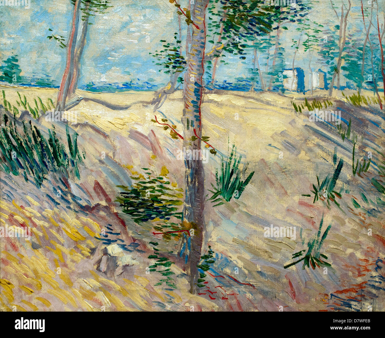 Bäume auf einem Hang 1887 Vincent van Gogh 1853-1890 holländischen Niederlanden Post-Impressionismus Stockfoto