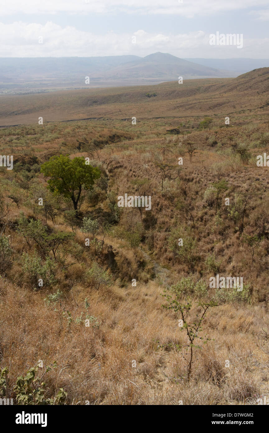 Nationalpark Mount Longonot, Nakuru, Kenia Stockfoto