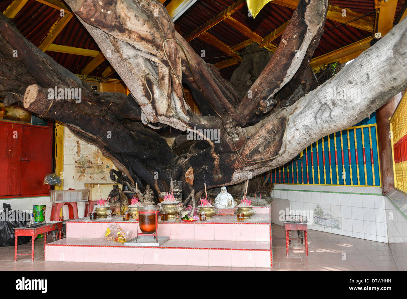 Asien Malaysia Penang Georgetown kauen Jetty Baum Tempel Stockfoto