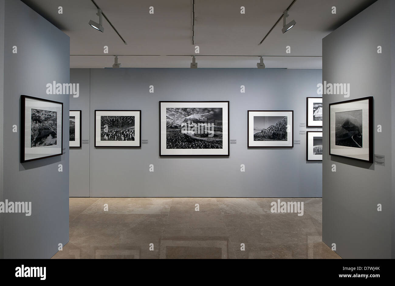 Ausstellung "Genesis" der brasilianische Fotograf Sebastião Salgado. Ara Pacis Museum, Rom, Italien. Stockfoto