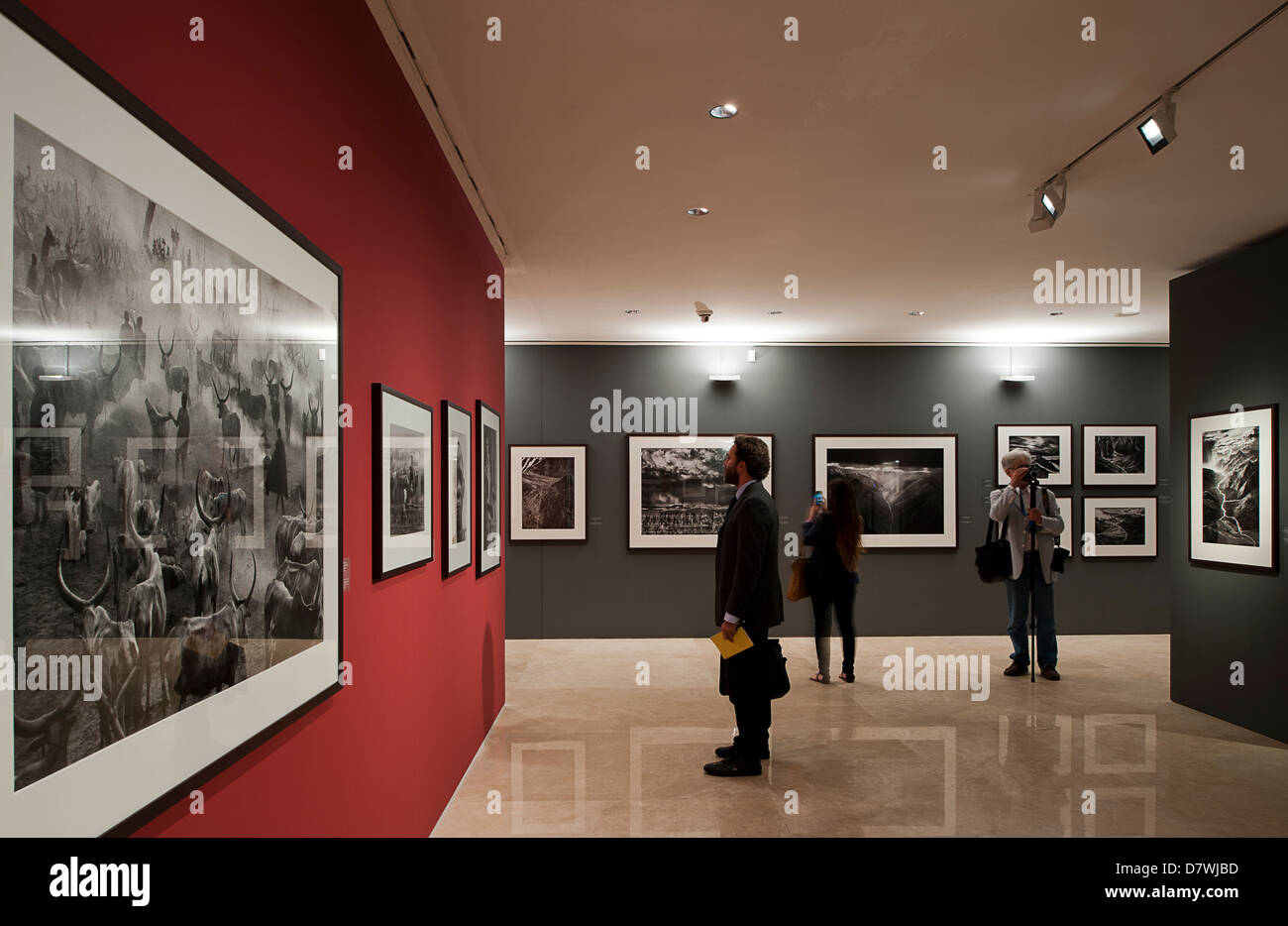 Ausstellung "Genesis" der brasilianische Fotograf Sebastião Salgado. Ara Pacis Museum, Rom, Italien. Stockfoto
