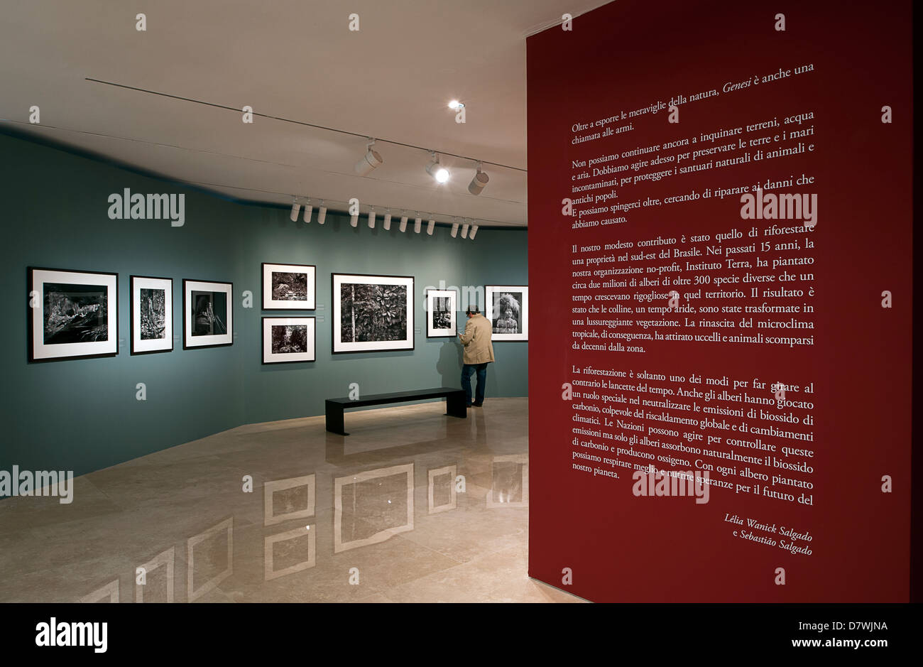 Ausstellung "Genesis" der brasilianische Fotograf Sebastião Salgado. Ara Pacis Museum, Rom, Italien. Stockfoto