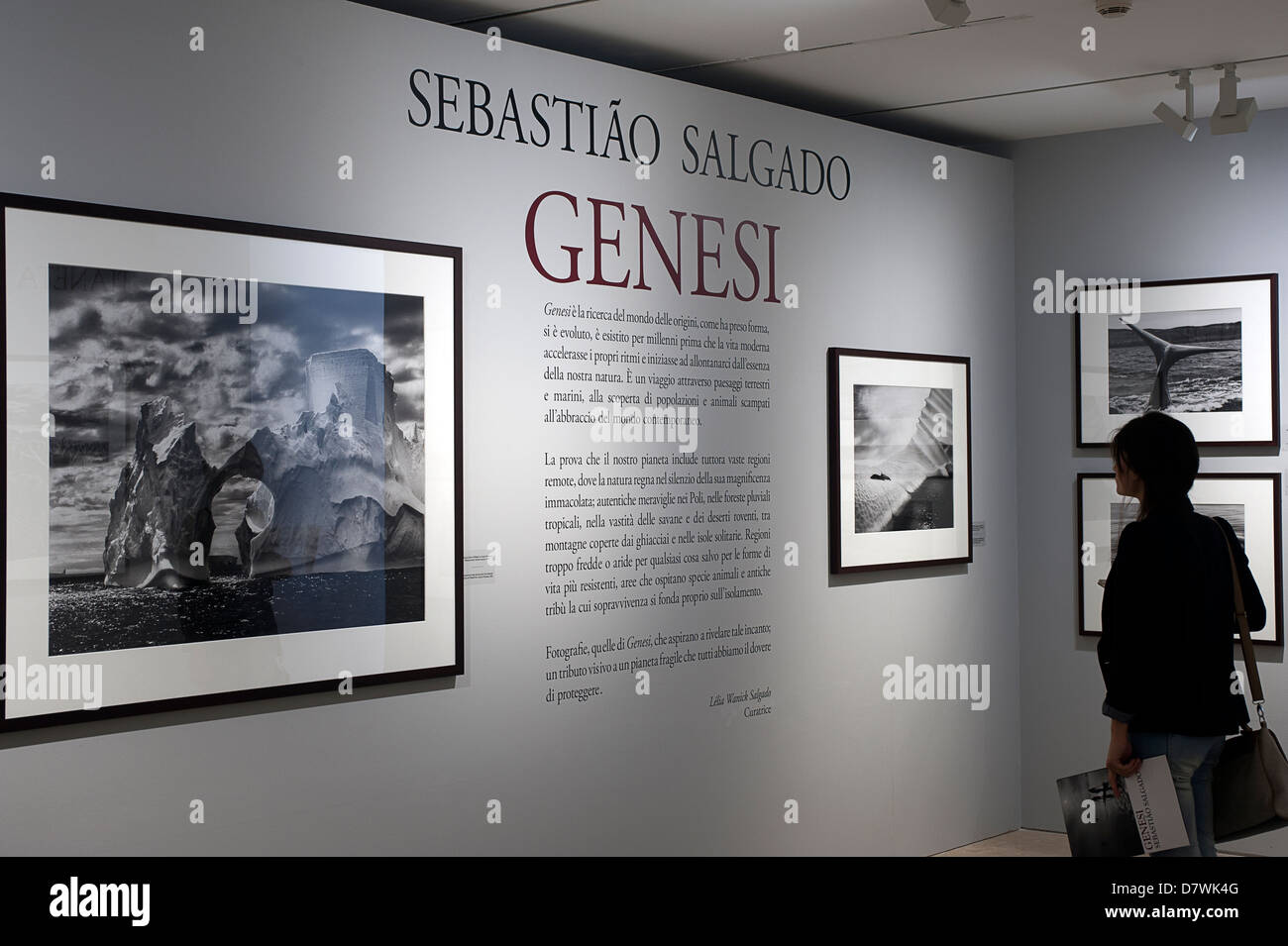 Ausstellung "Genesis" der brasilianische Fotograf Sebastião Salgado. Ara Pacis Museum, Rom, Italien. Stockfoto