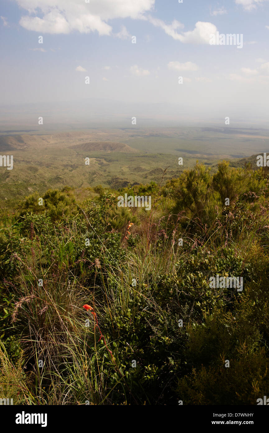 Mount Longonot Nationalpark, Kenia Stockfoto