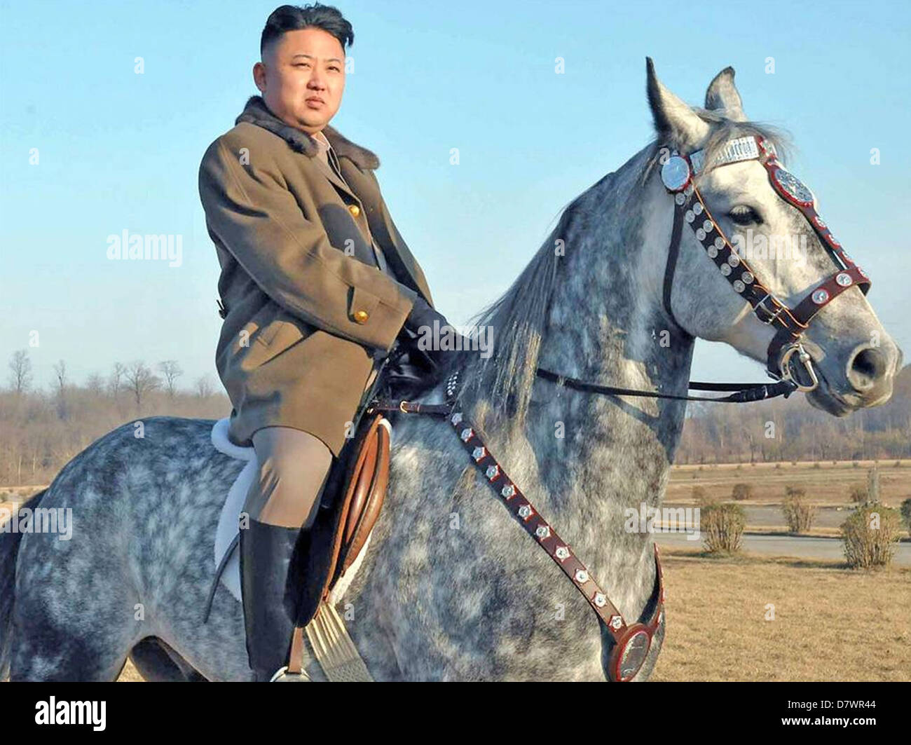KIM JONG-un oberste Führer der Demokratischen Volksrepublik Korea im Jahr 2013 Stockfoto