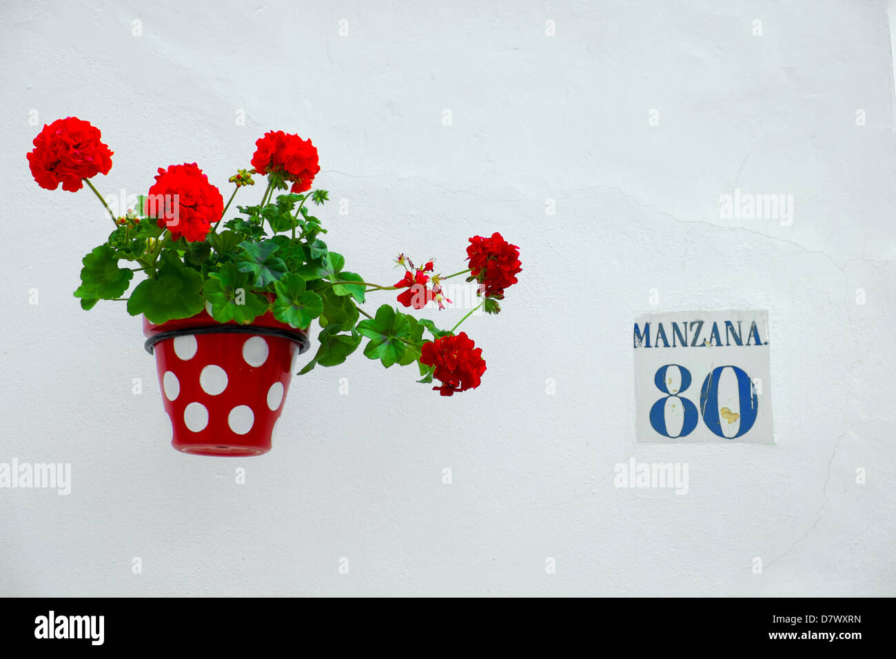 Flamenco-Blumen Stockfoto