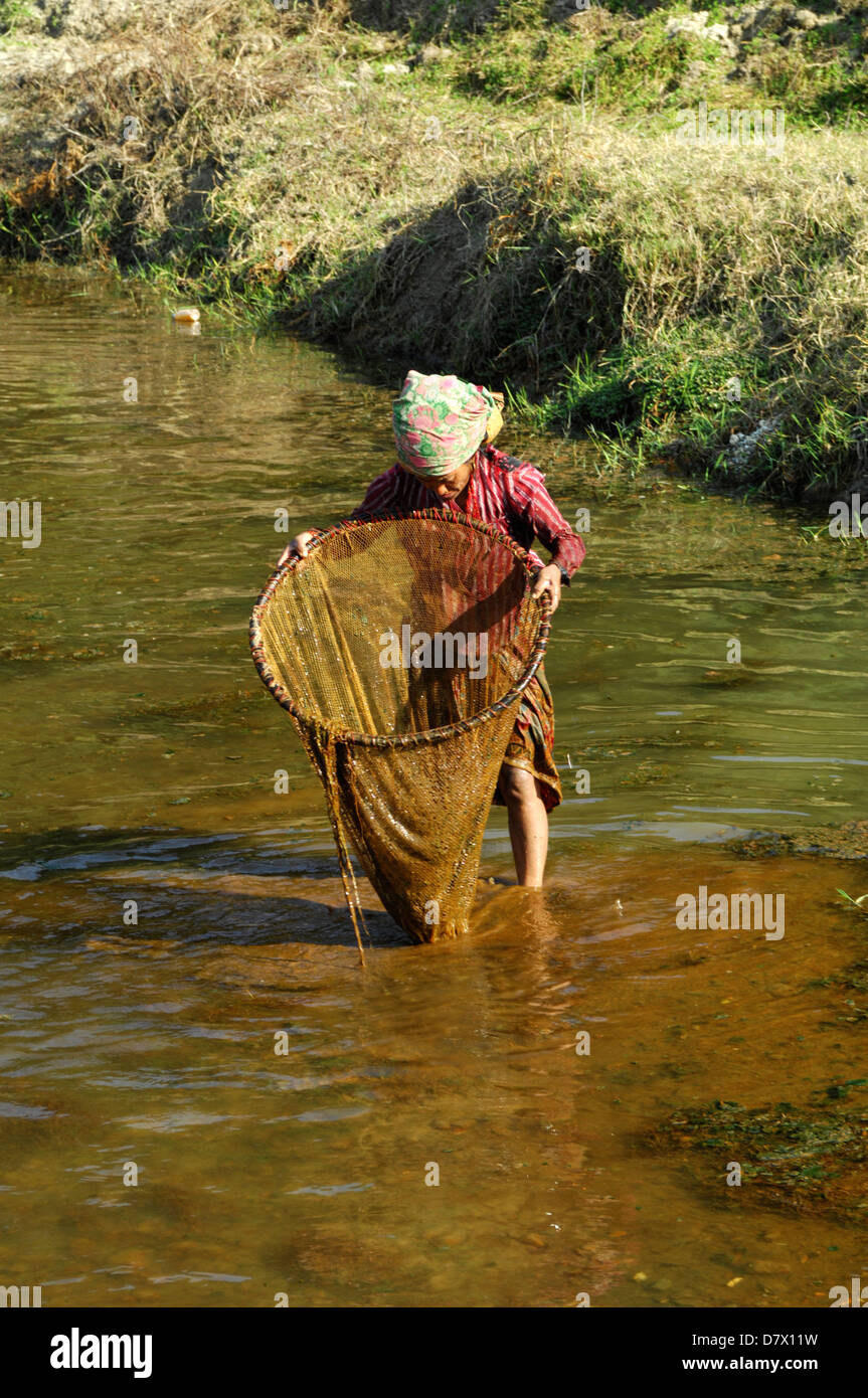 Nepalesische Frauen mit traditionellen Netzen Fischen in der Nähe von Phokara, Nepal Stockfoto