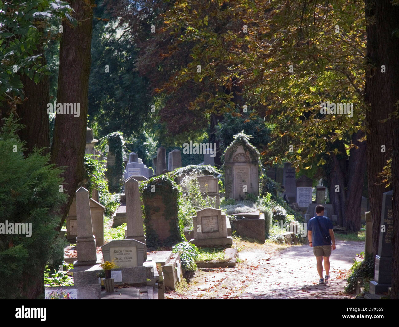 Europa, Rumänien, Siebenbürgen, Sighisoara, sächsischen Friedhof Stockfoto