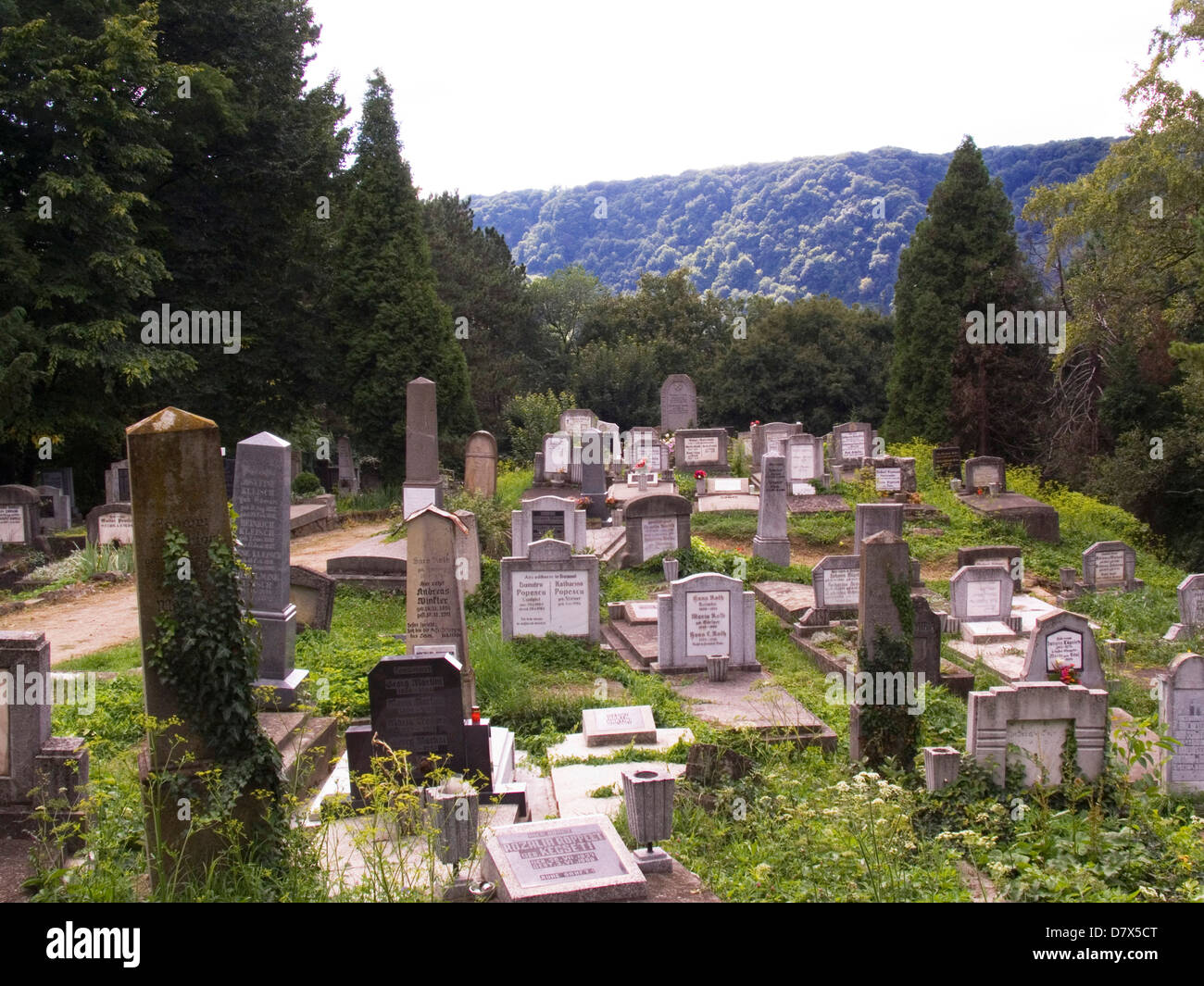 Europa, Rumänien, Siebenbürgen, Sighisoara, sächsischen Friedhof Stockfoto