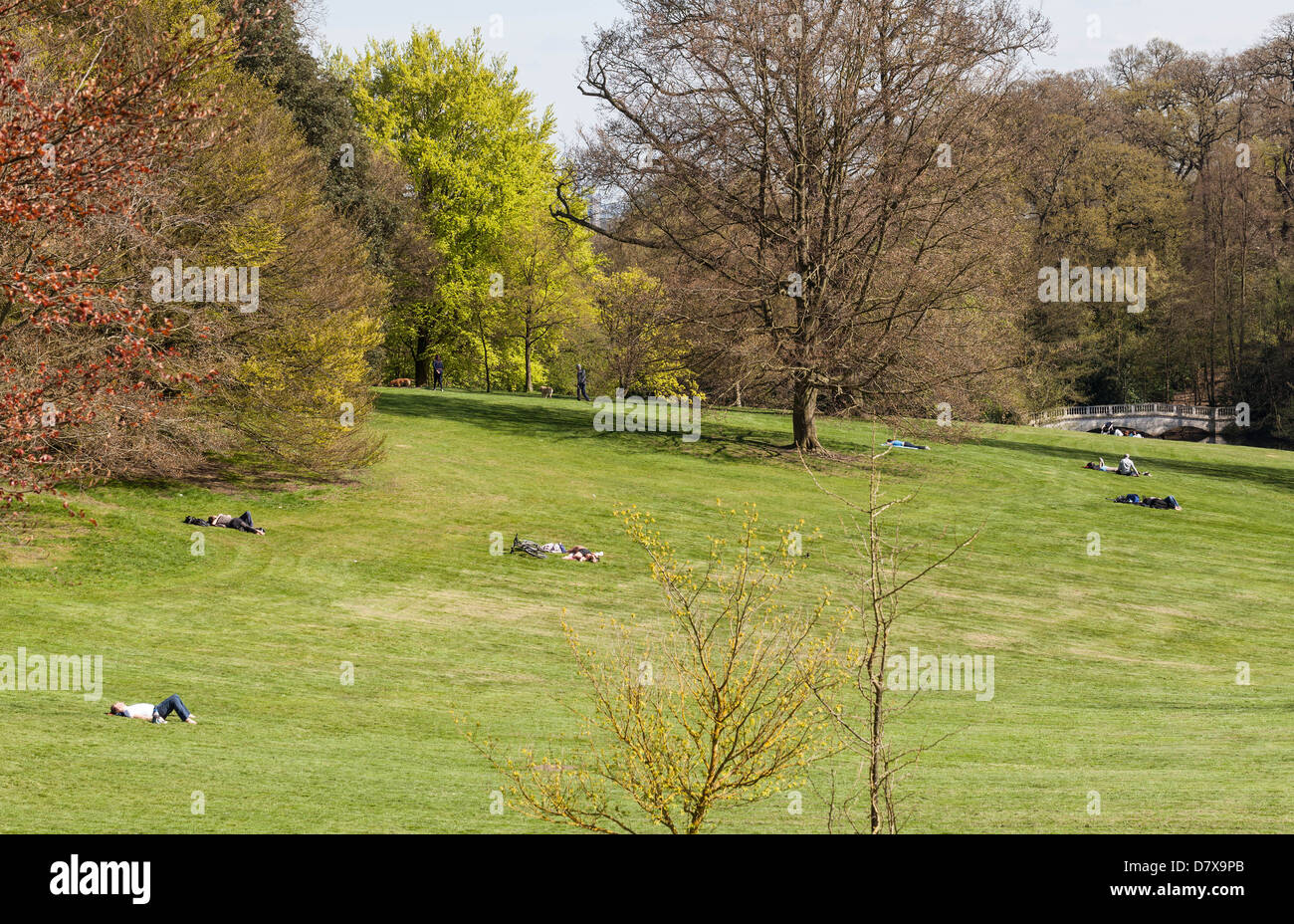 Verstreute Sonnenanbeter, die sich auf einem Grasfeld niederlassen, Hampstead Heath, London, England, Großbritannien. Stockfoto