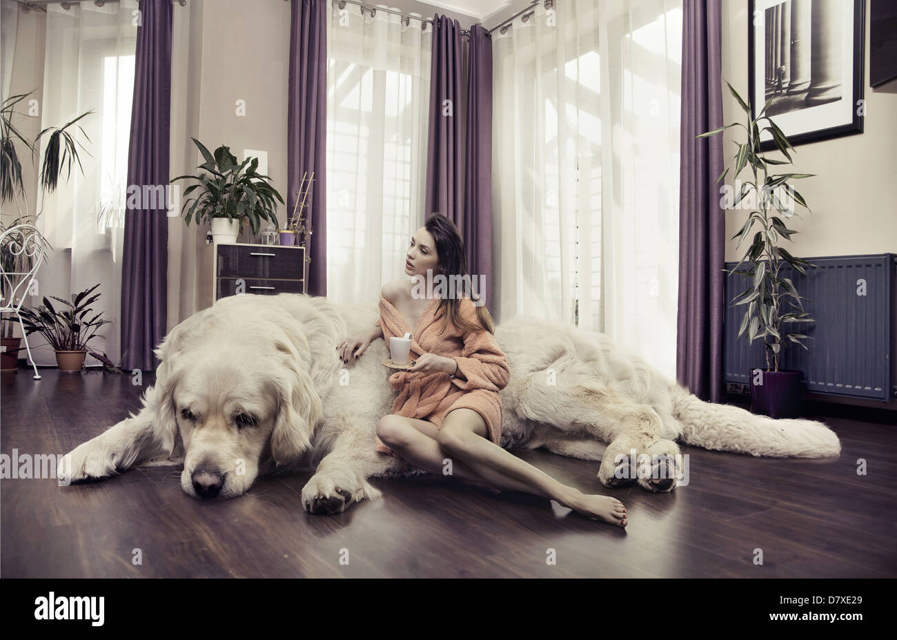 Junge Dame umarmt großer Hund Stockfoto