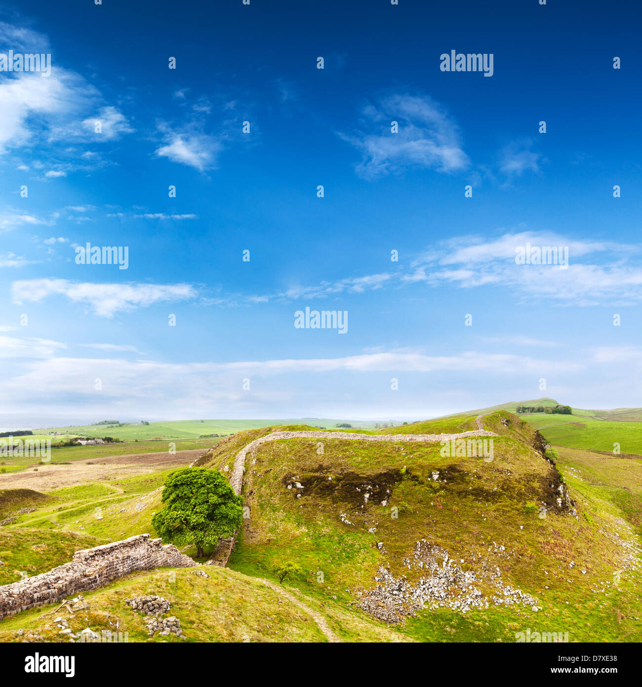Ein Blick vom hohen am Hadrianswall, schaut auf Sycamore Gap. Stockfoto