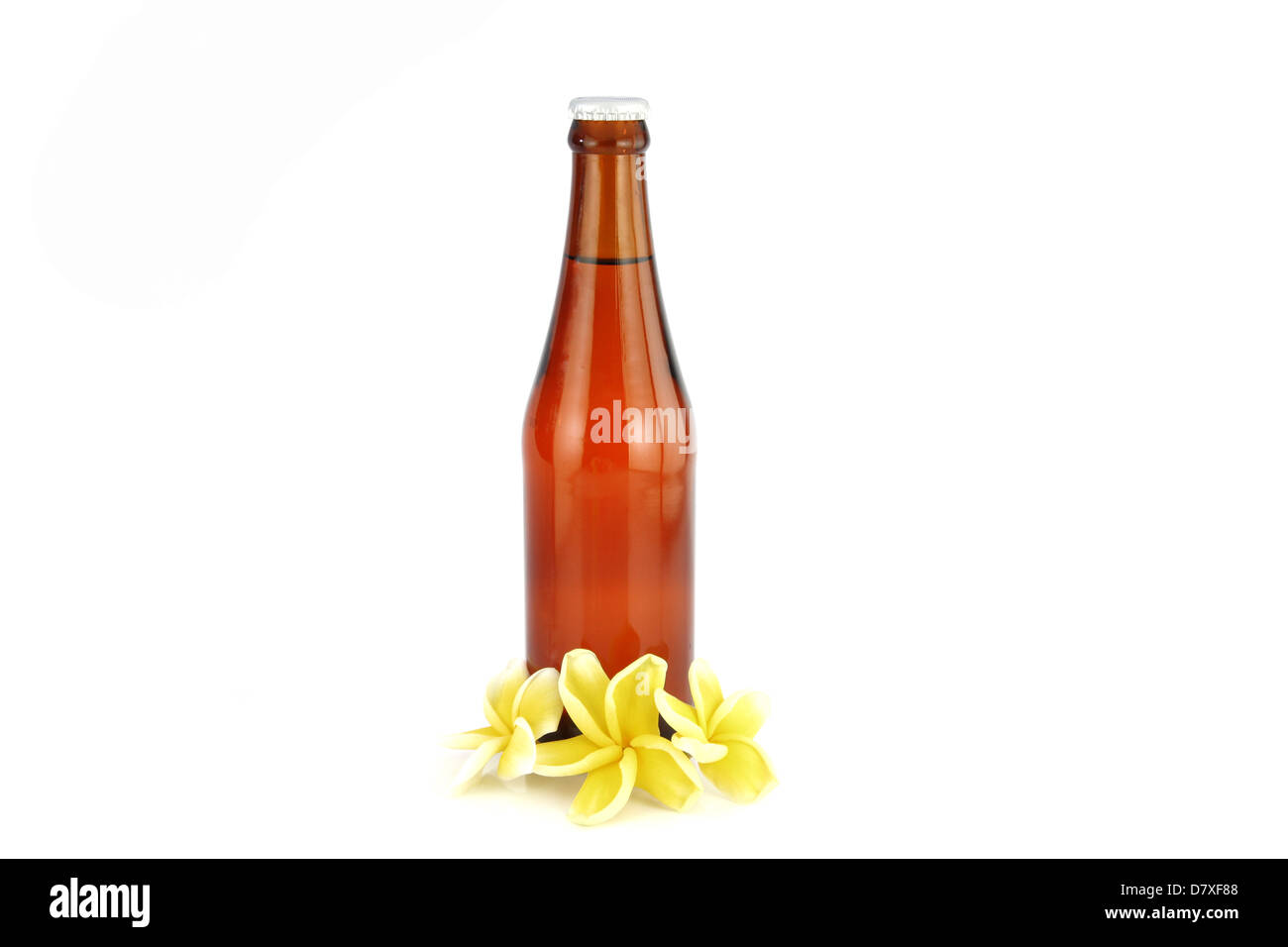 Weinflasche braunen und gelben Blüten. Stockfoto