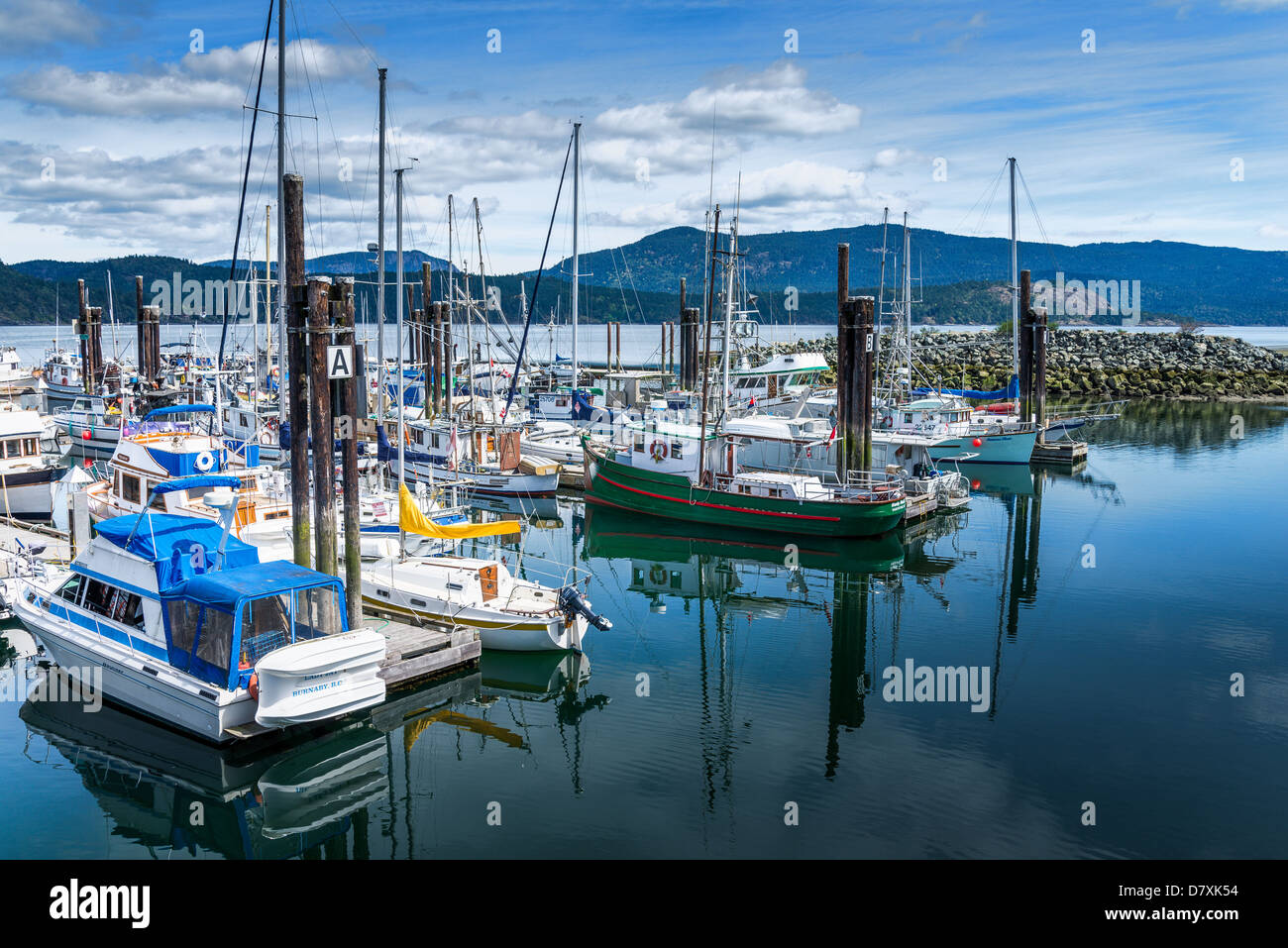 Marina, Cowichan Bay, British Columbia, Kanada Stockfoto