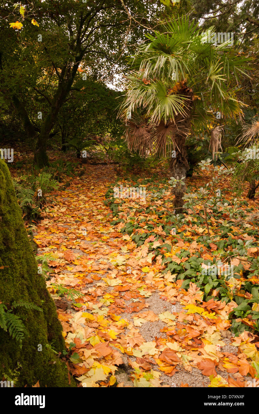 Herbst Wege Stockfoto