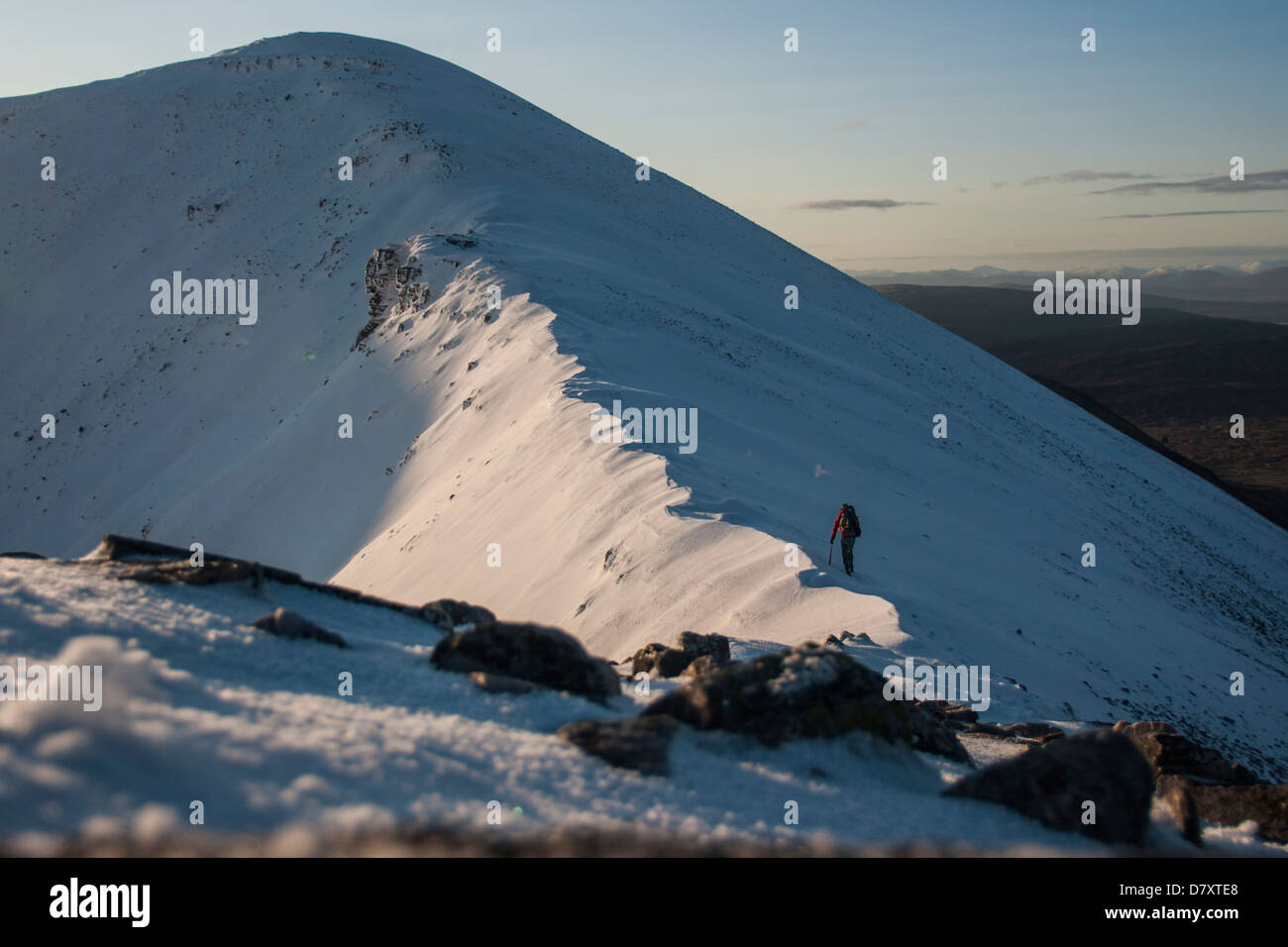 Ein Wanderer auf der grau Corries in den schottischen Highlands Stockfoto