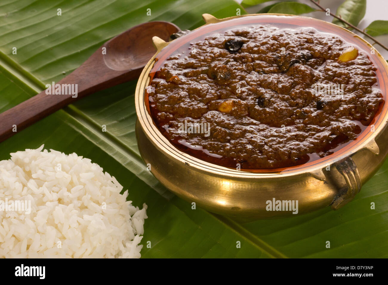 Indisches Curry Vatha Kuzhambu-Süd. Stockfoto