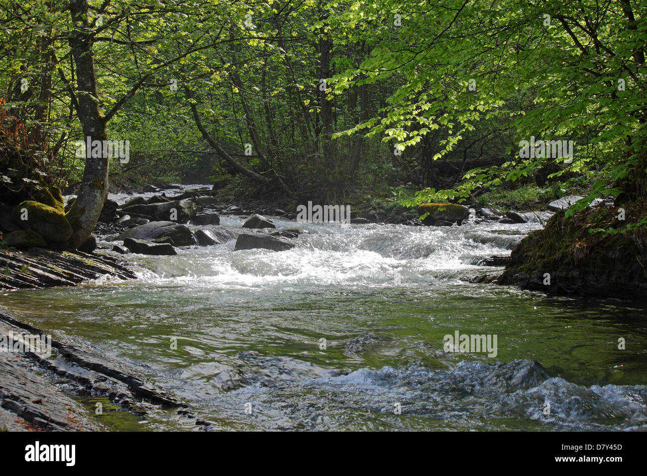 Stromschnellen am Fluss in Karpaten Stockfoto