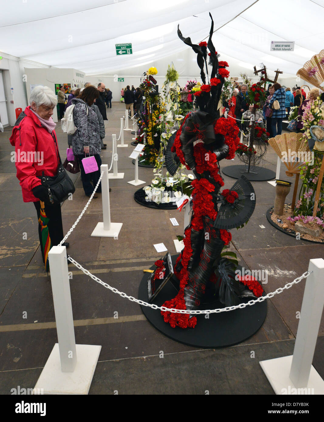 Frau eines der Exponate der Blumenkunst in Harrogate Spring Flower Show Yorkshire betrachten Stockfoto