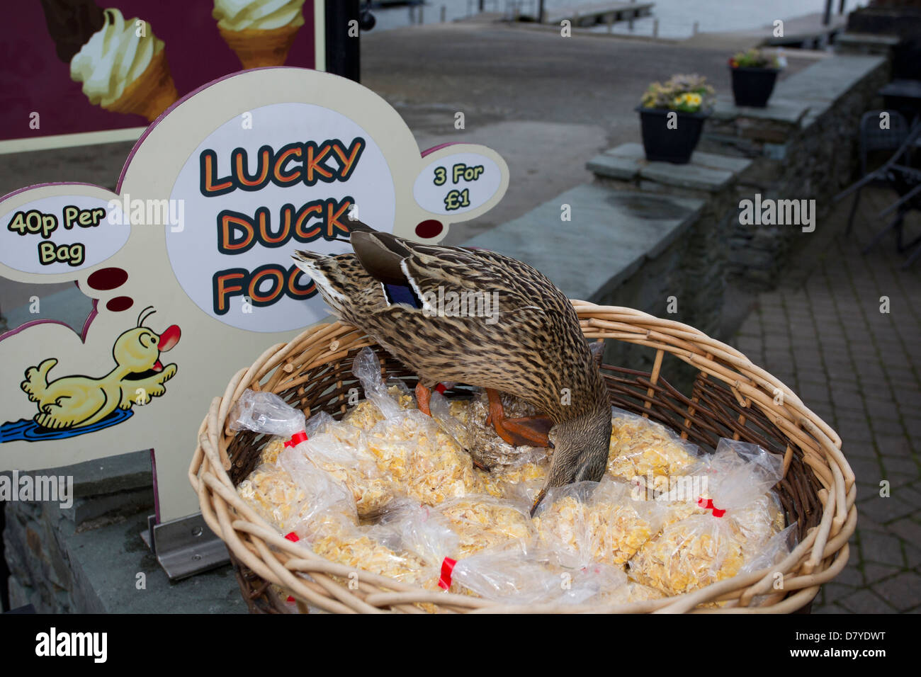 Lucky Duck Essen 3 für £1 mit zusätzlichen Ente zum Verkauf Stockfoto