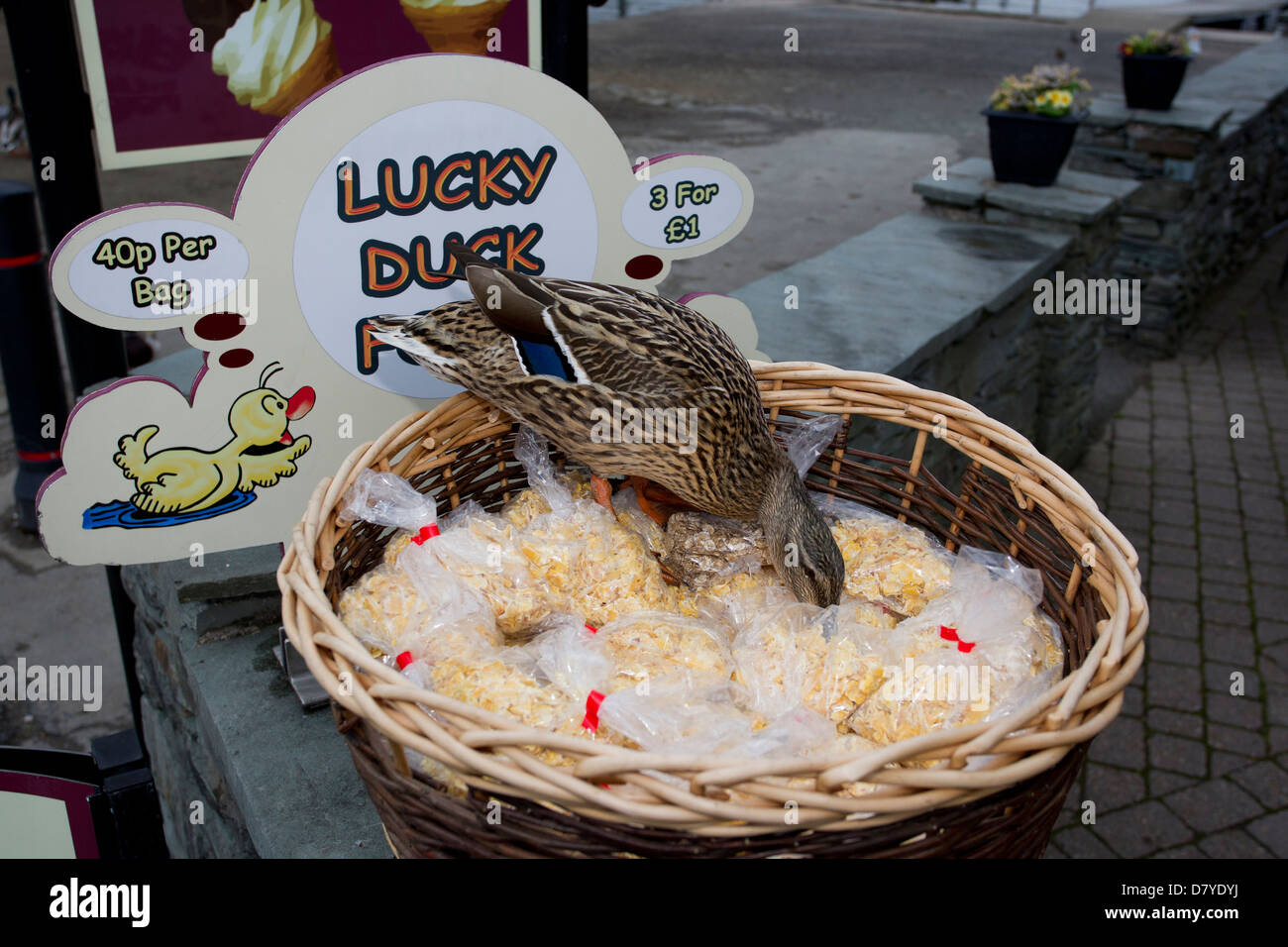 Lucky Duck Essen 3 für £1 mit zusätzlichen Ente zum Verkauf Stockfoto