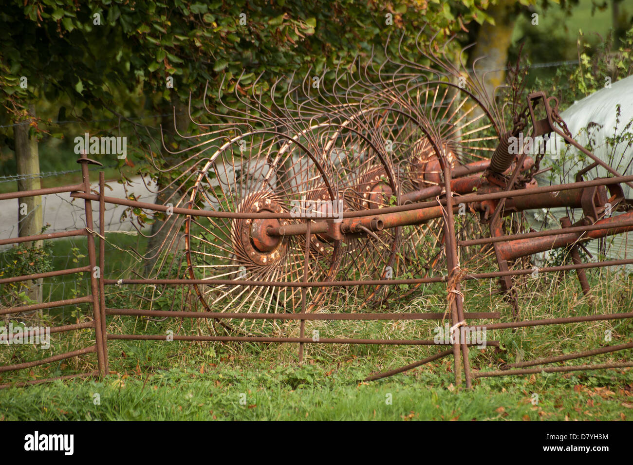 Sternrad Rake verwendet einen alten Stil Traktor Zubehör auf dem Bauernhof bei der Ernte Stockfoto