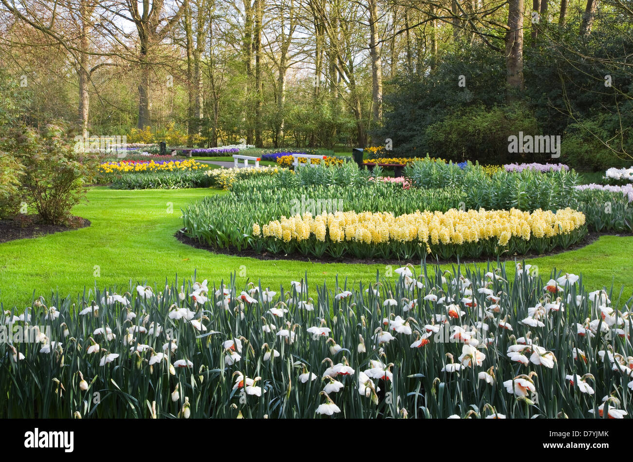 Park mit Tulpen, Hyazinthen und Narzissen im Frühjahr Stockfoto