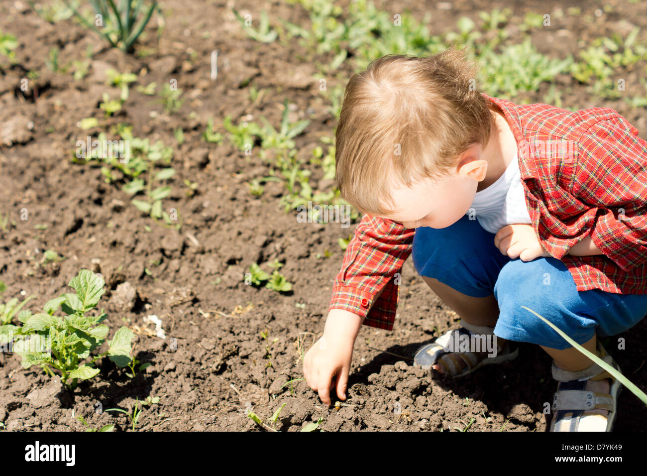 Nahaufnahme Bild von einem niedlichen Kind auf der Suche nach etwas im Garten. Stockfoto