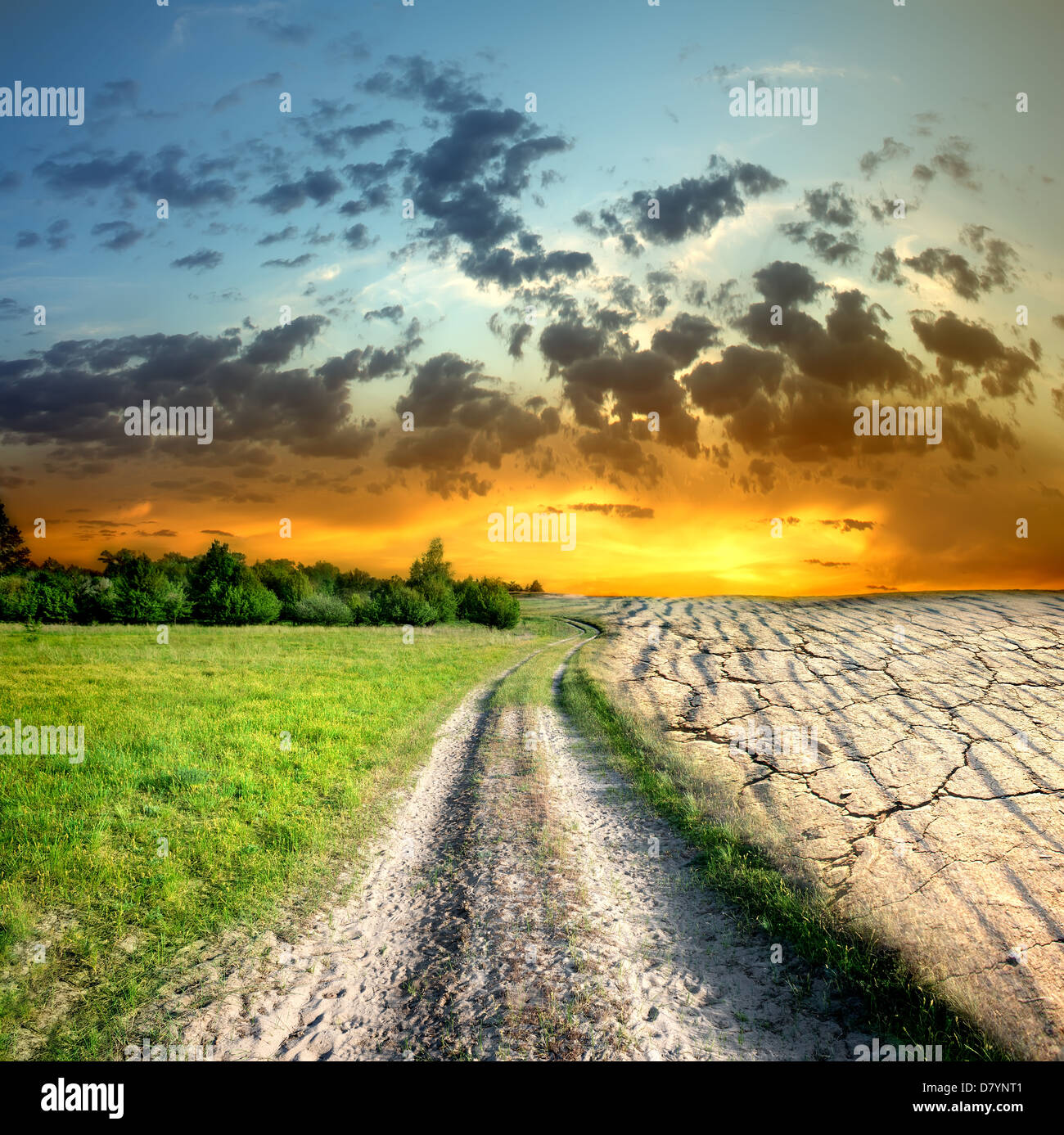 Auswirkungen der globalen Erwärmung auf ein Natur Stockfoto