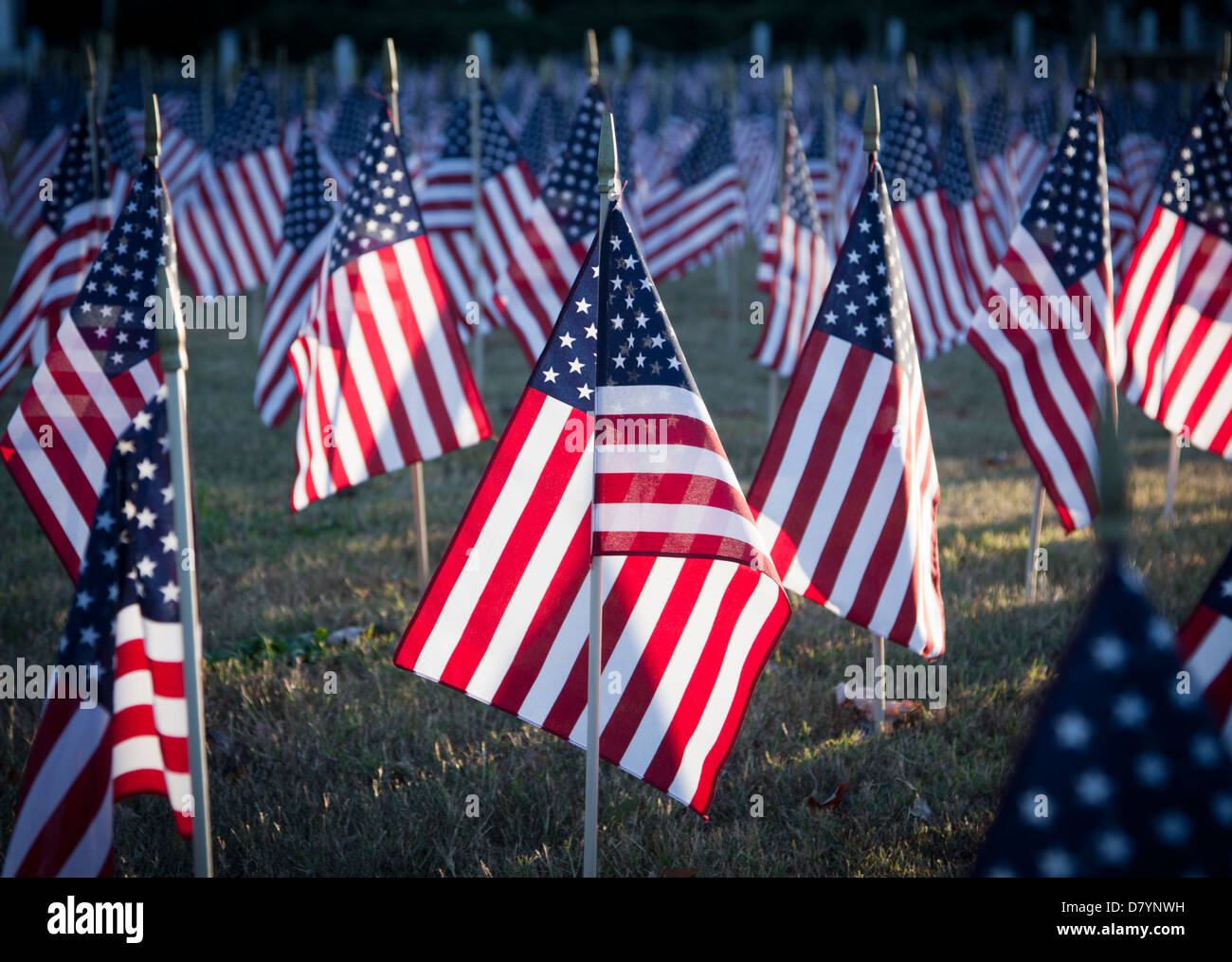 USA-Flaggen Linie Veterans Park in der Innenstadt von Simpsonville, SC, USA während Veterans Day Stockfoto