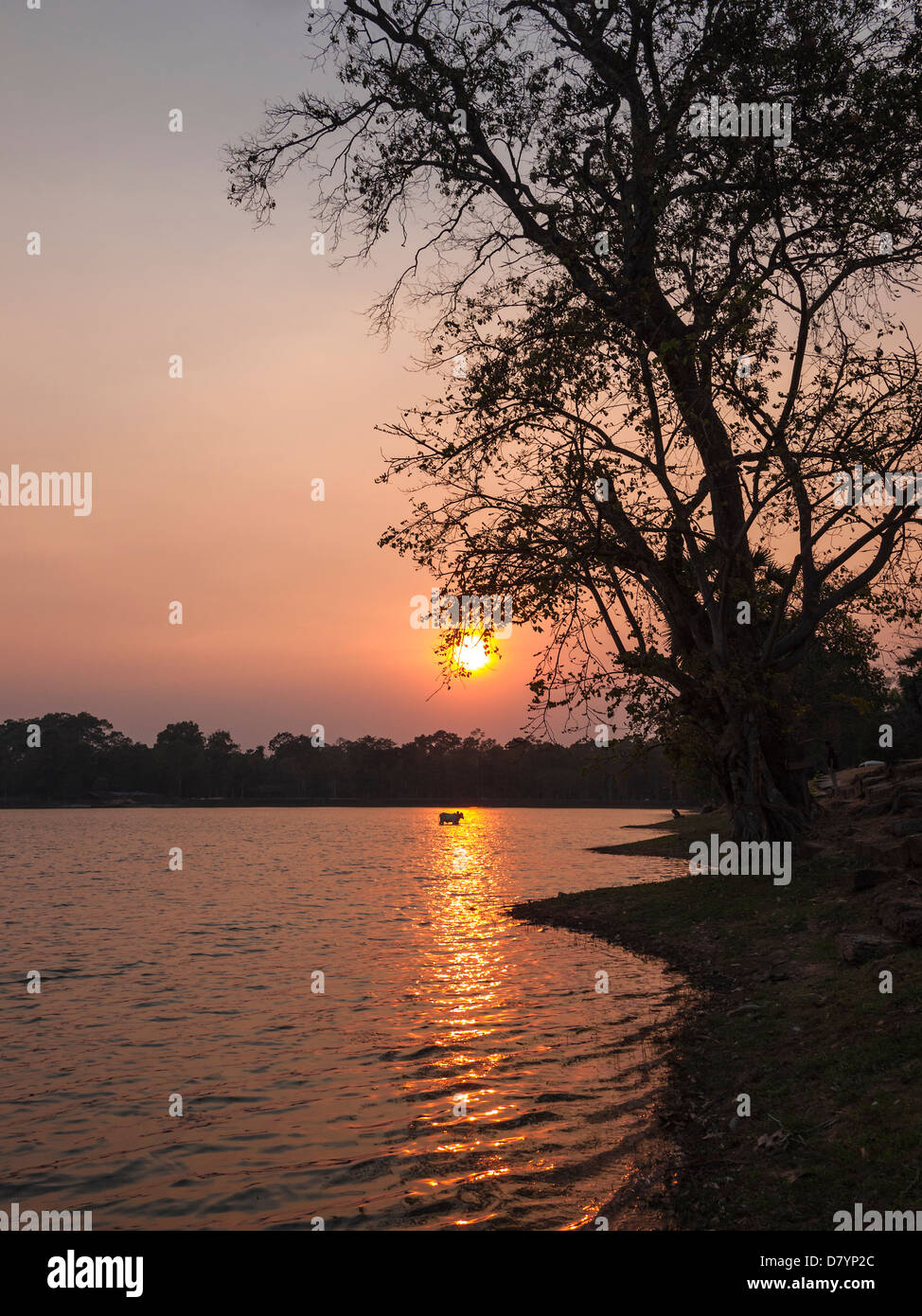 Sonnenuntergang. Srah Srang. Angkor. Siem Reap, Kambodscha Stockfoto