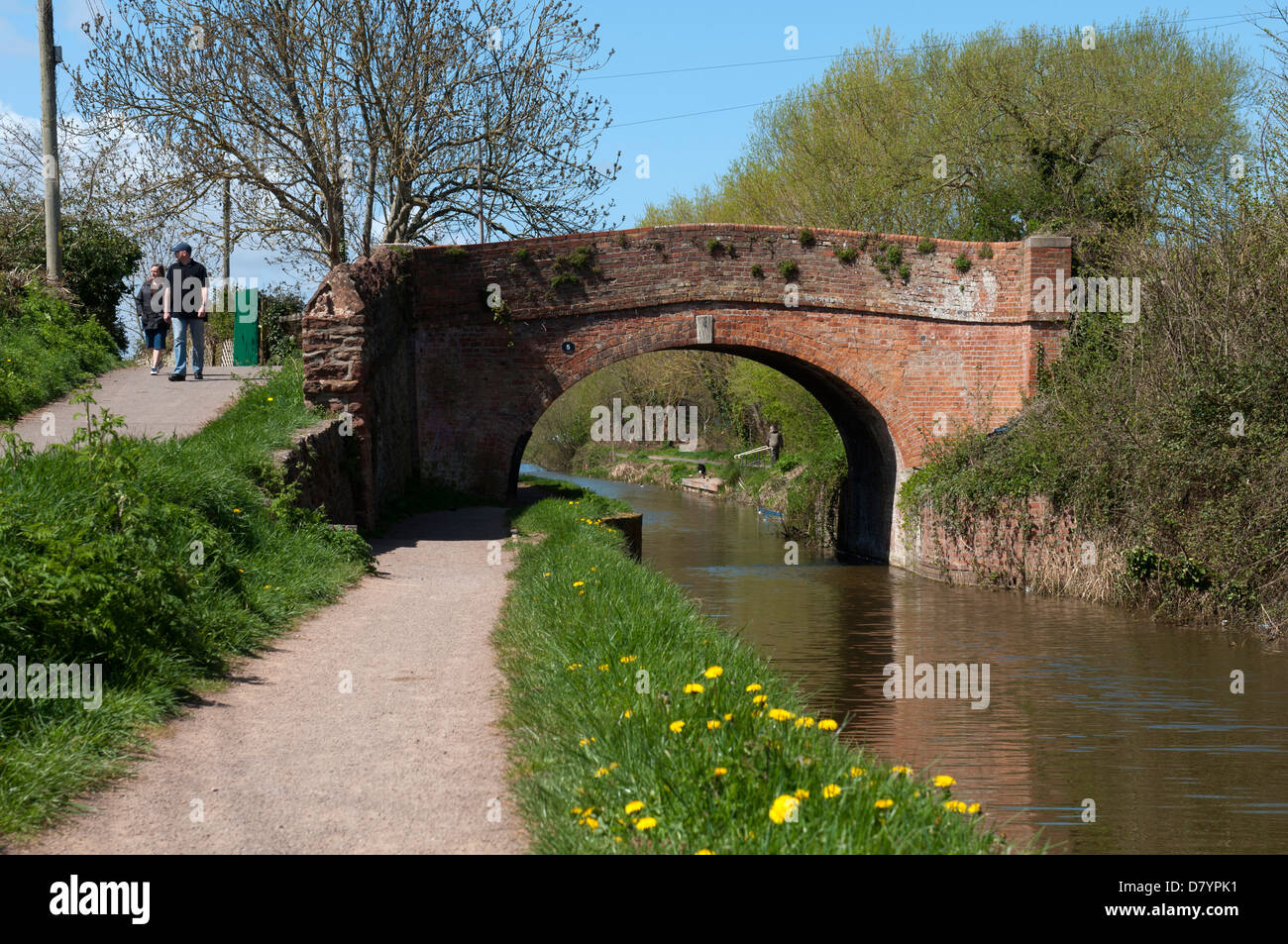Bridgwater und Taunton Kanal in der Nähe von Bridgwater, Somerset, England, UK Stockfoto