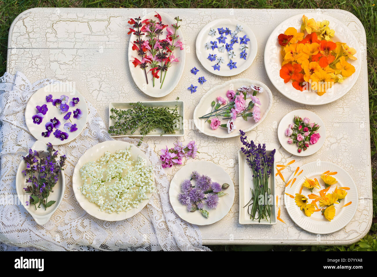 Eine weiße, geknackt aufgetaucht Tisch mit Platten aus verschiedenen essbaren Blüten. Stockfoto