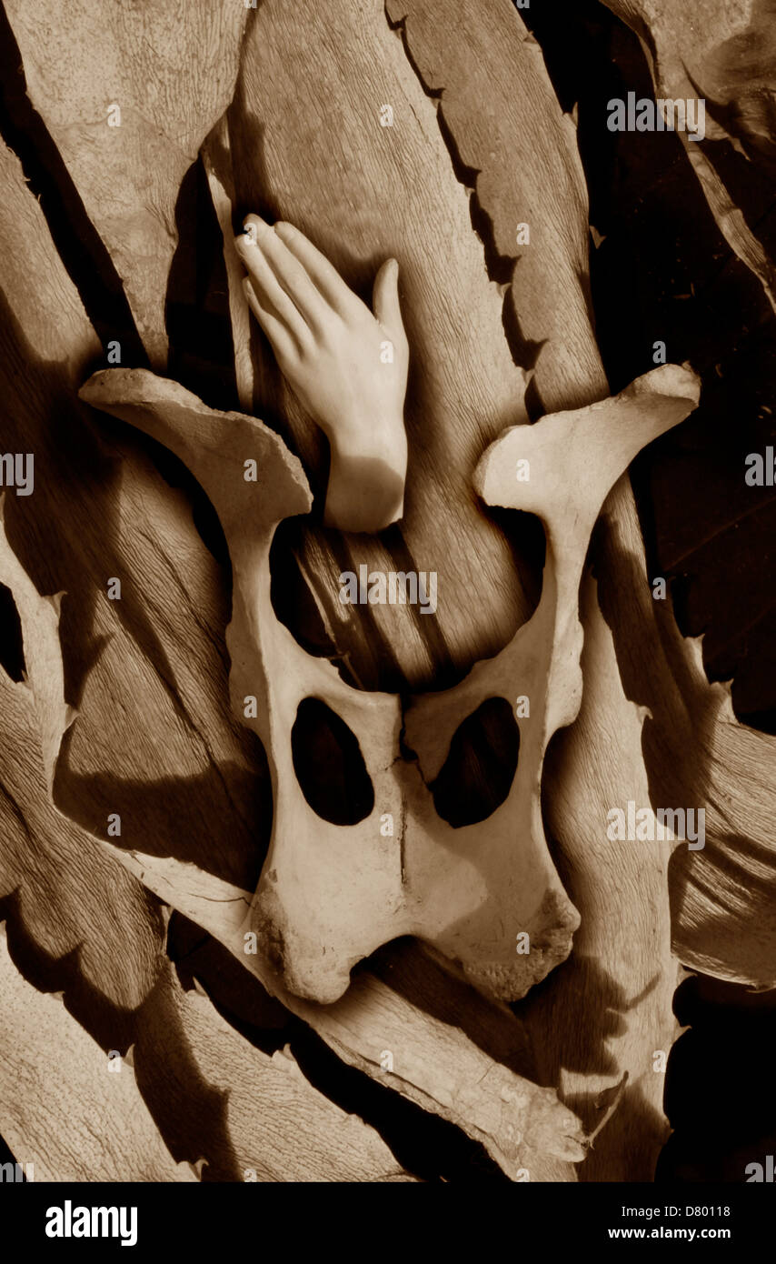 Sepia Stillleben auffällig mit ausgestreckter Hand erhebt sich über einem Knochen, der Maske wie ist. Hintergrund komponierte Jahrhundertpflanze Blätter Stockfoto