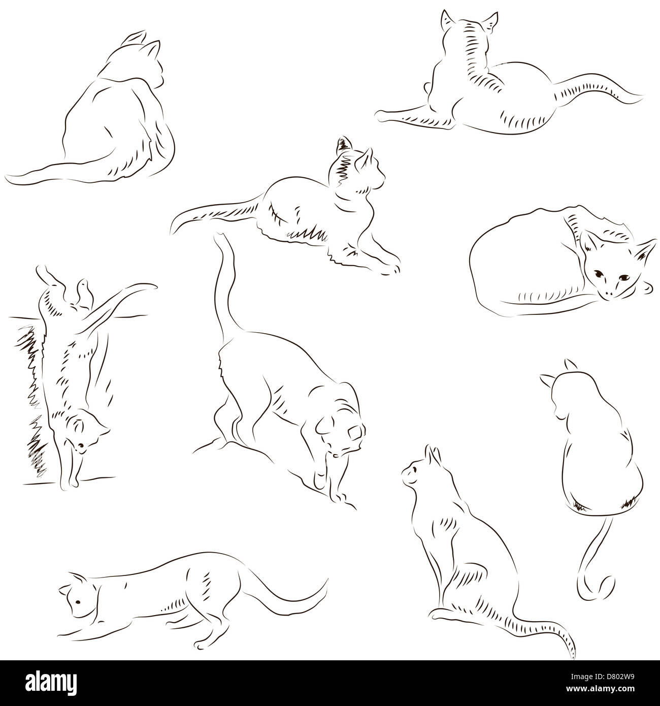 Vektor-Illustration von niedlichen weißen skizzenhaft Katzen Stockfoto