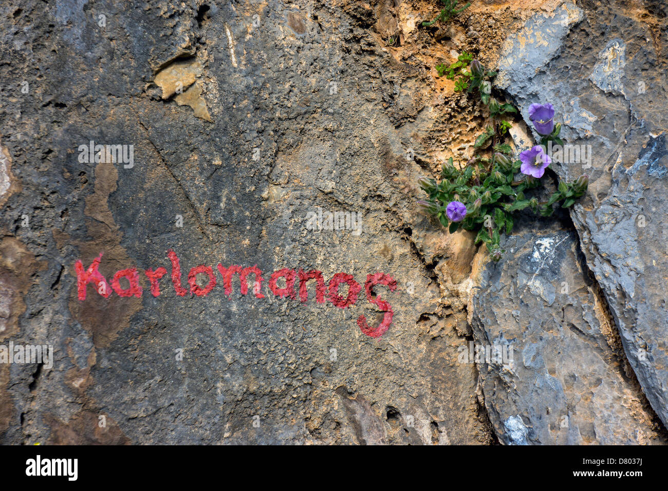 Bemalte Name der Felsen klettern auf Felsen mit blauen Blüten Stockfoto