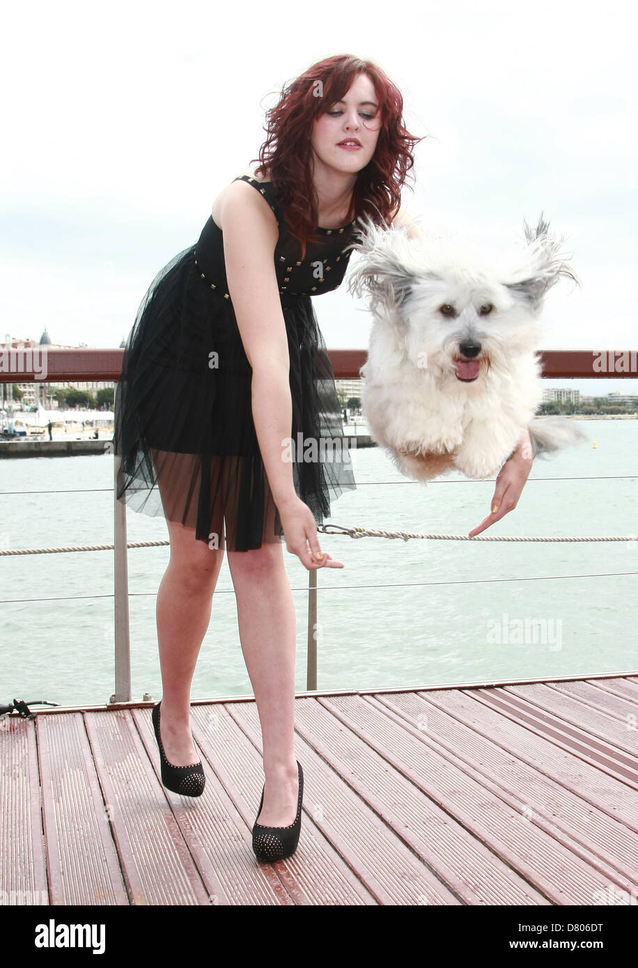 ASHLEIGH BUTLER & PUDSEY PUDSEY: DER FILM. PHOTOCALL. CANNES FILM FESTIVAL 2013 CANNES Frankreich 16 Mai 2013 Stockfoto