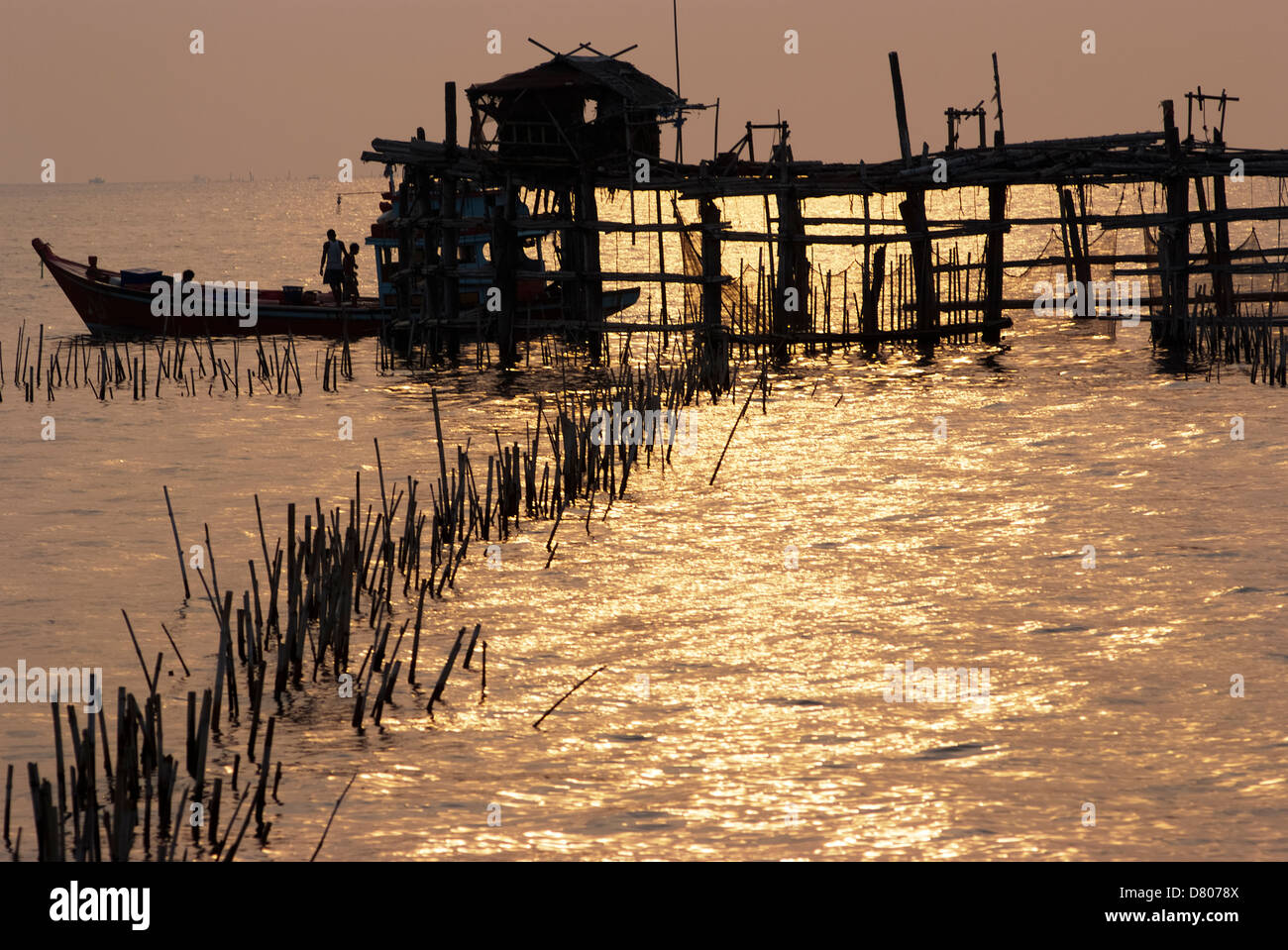 Falle Net/Pfahl Falle an der Mündung des Mae Klong River in den Golf von Thailand in Samutsongkram Stockfoto