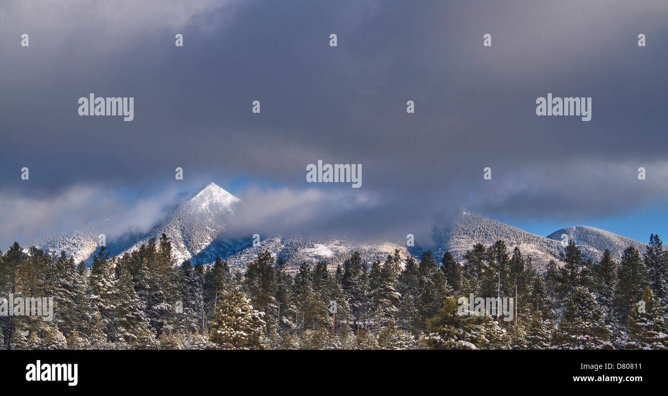 Schneebedeckte Berge und Bäume unter Gewitterwolken Stockfoto